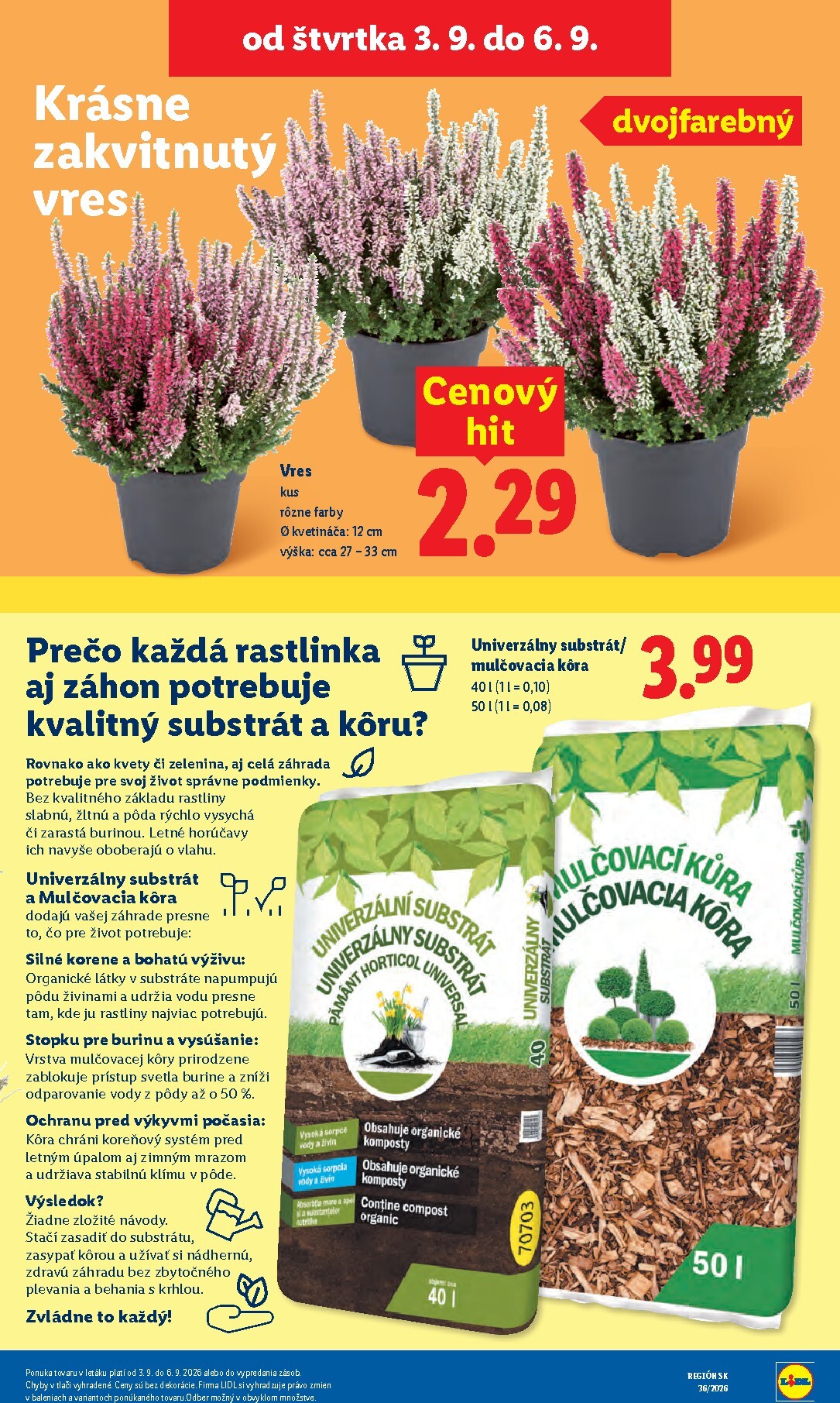 lidl - Nový Lidl leták od pondelka, 31.08.2026 do nedele, 06.09.2026 - page: 91