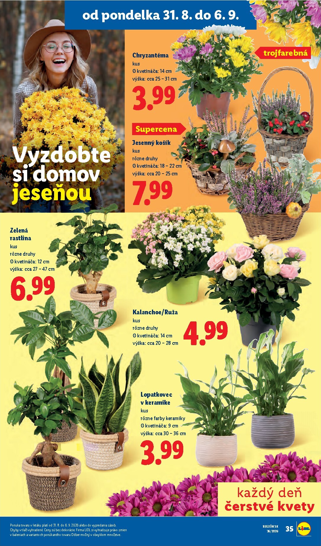 lidl - Aktuálny Lidl leták od pondelka, 31.08.2026 do nedele, 06.09.2026 - page: 51