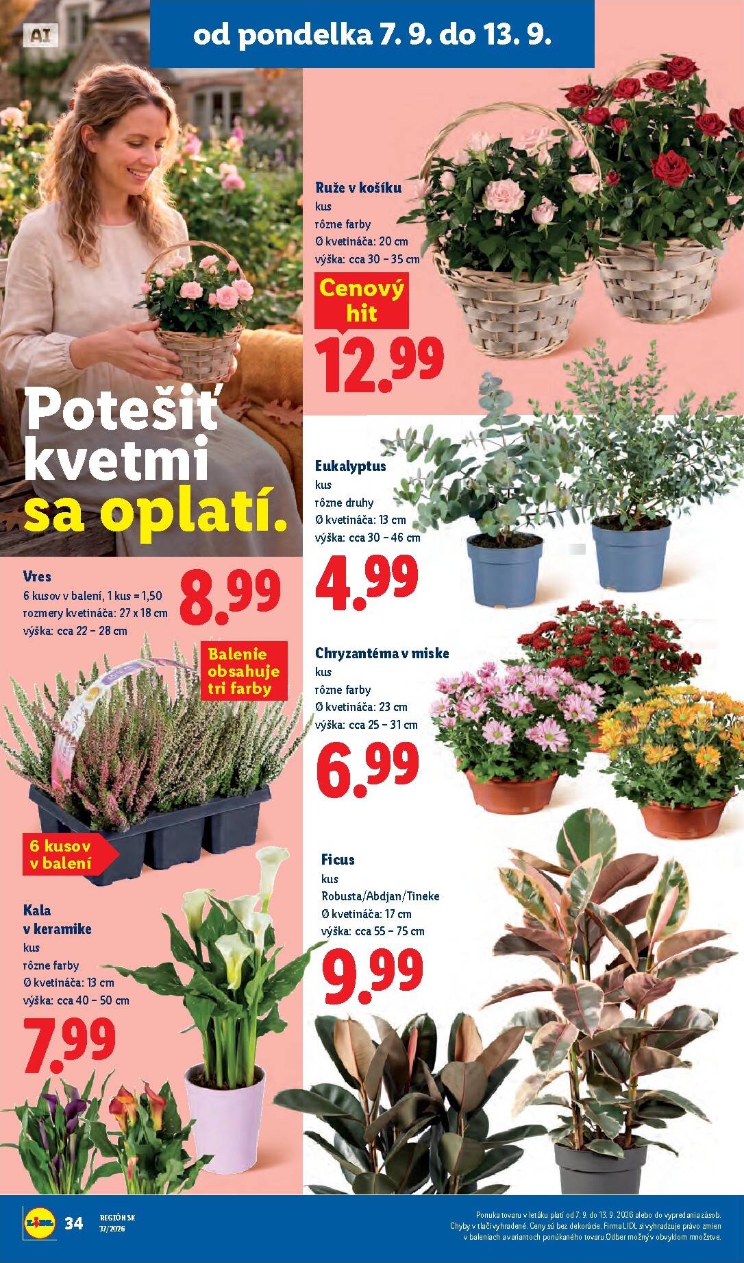lidl - Aktuálny Lidl leták od pondelka, 07.09.2026 do nedele, 13.09.2026 - page: 51