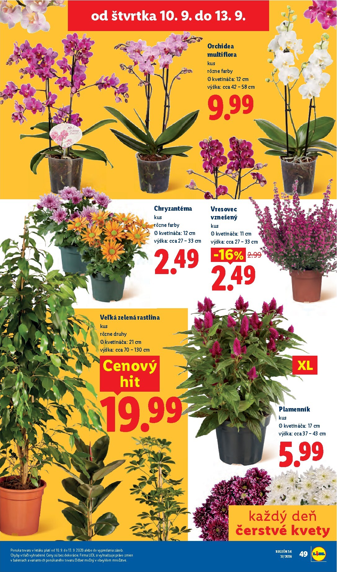 lidl - Aktuálny Lidl leták od pondelka, 07.09.2026 do nedele, 13.09.2026 - page: 81