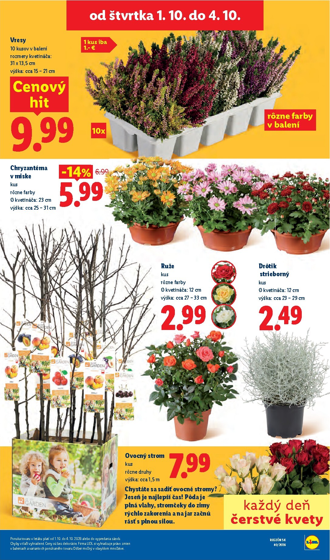 lidl - Nový Lidl leták od pondelka, 28.09.2026 do nedele, 04.10.2026 - page: 81