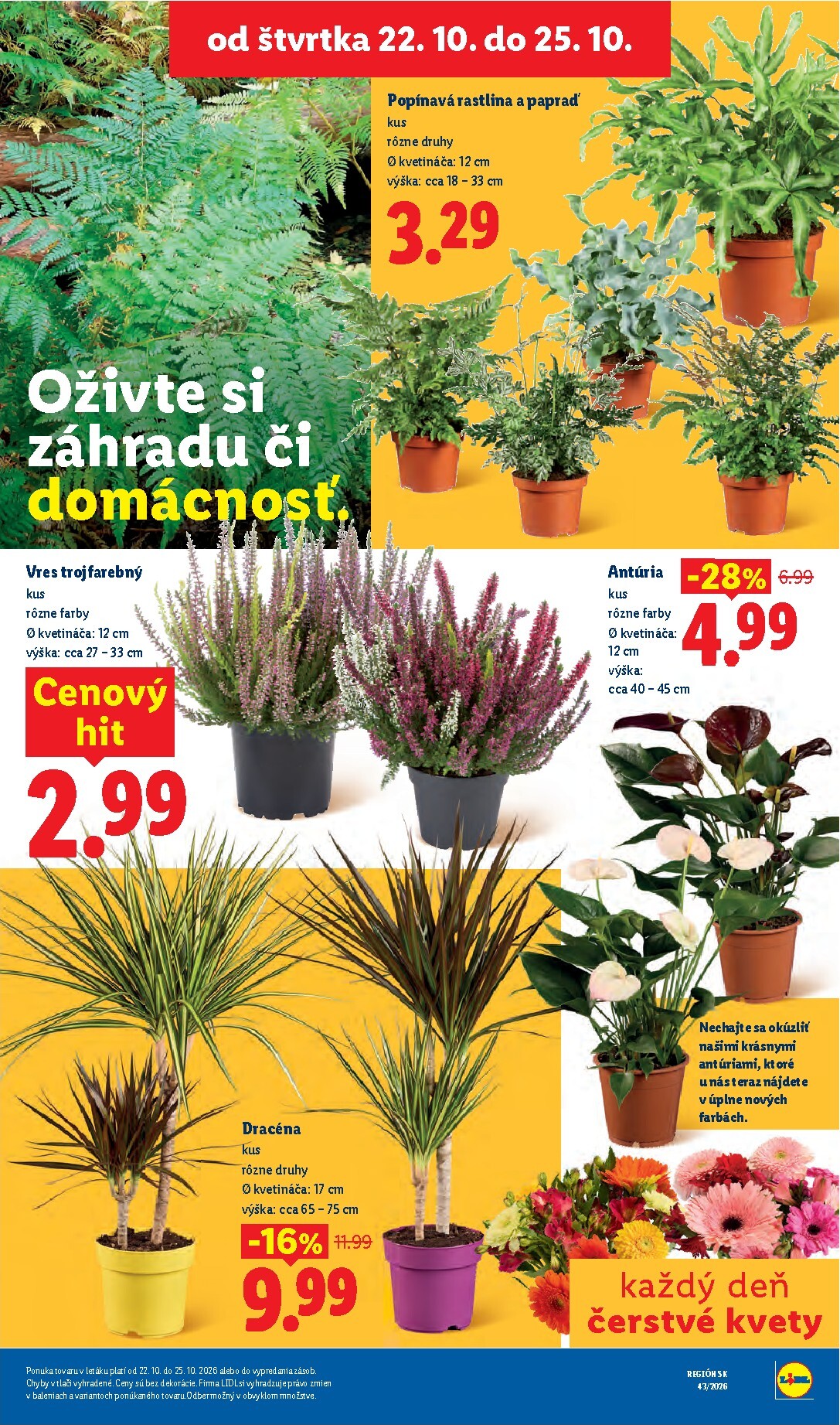 lidl - Nový Lidl leták od pondelka, 19.10.2026 do nedele, 25.10.2026 - page: 102