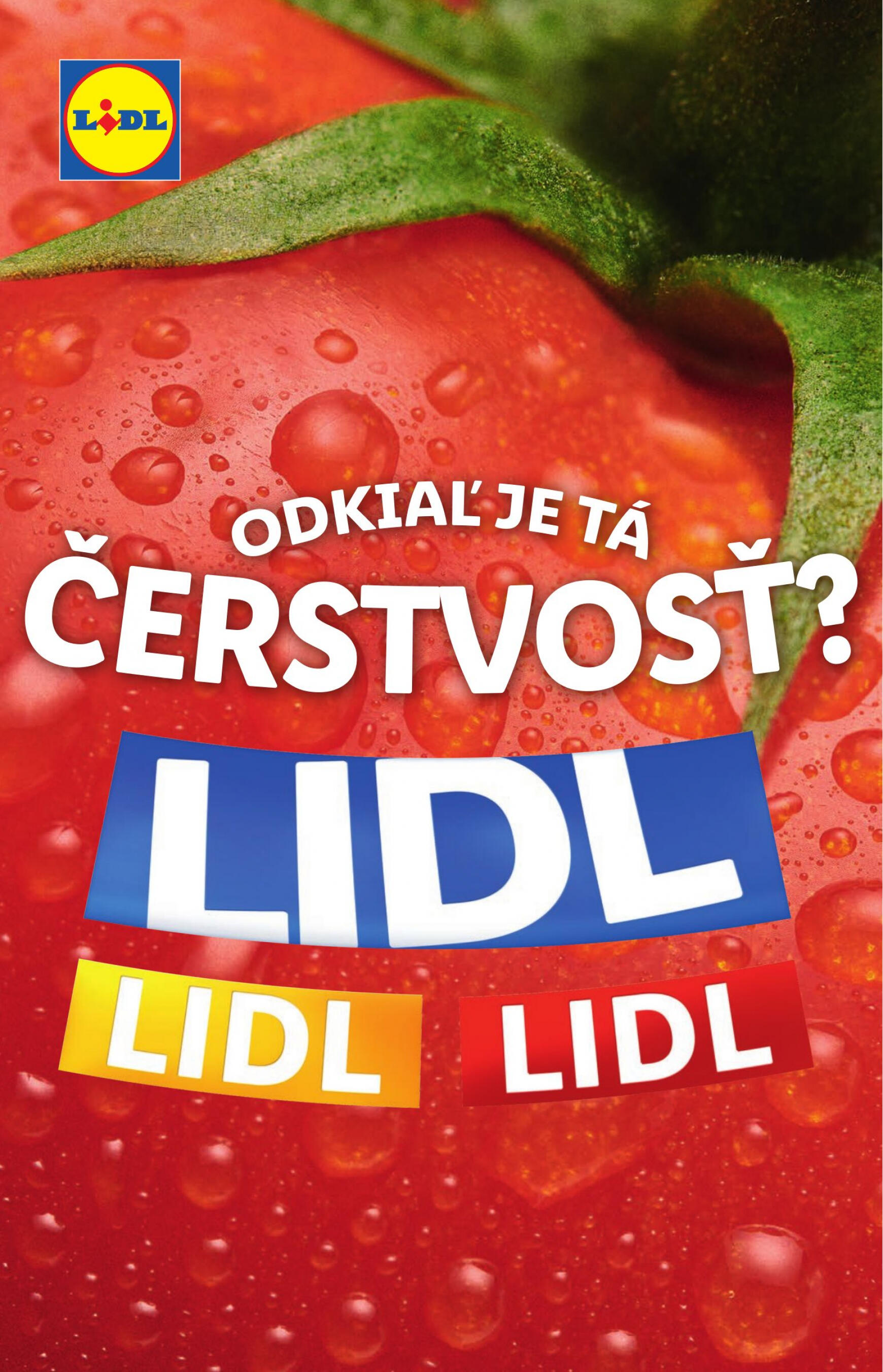 lidl - Lidl leták platný od 29.07. - 04.08. - page: 12