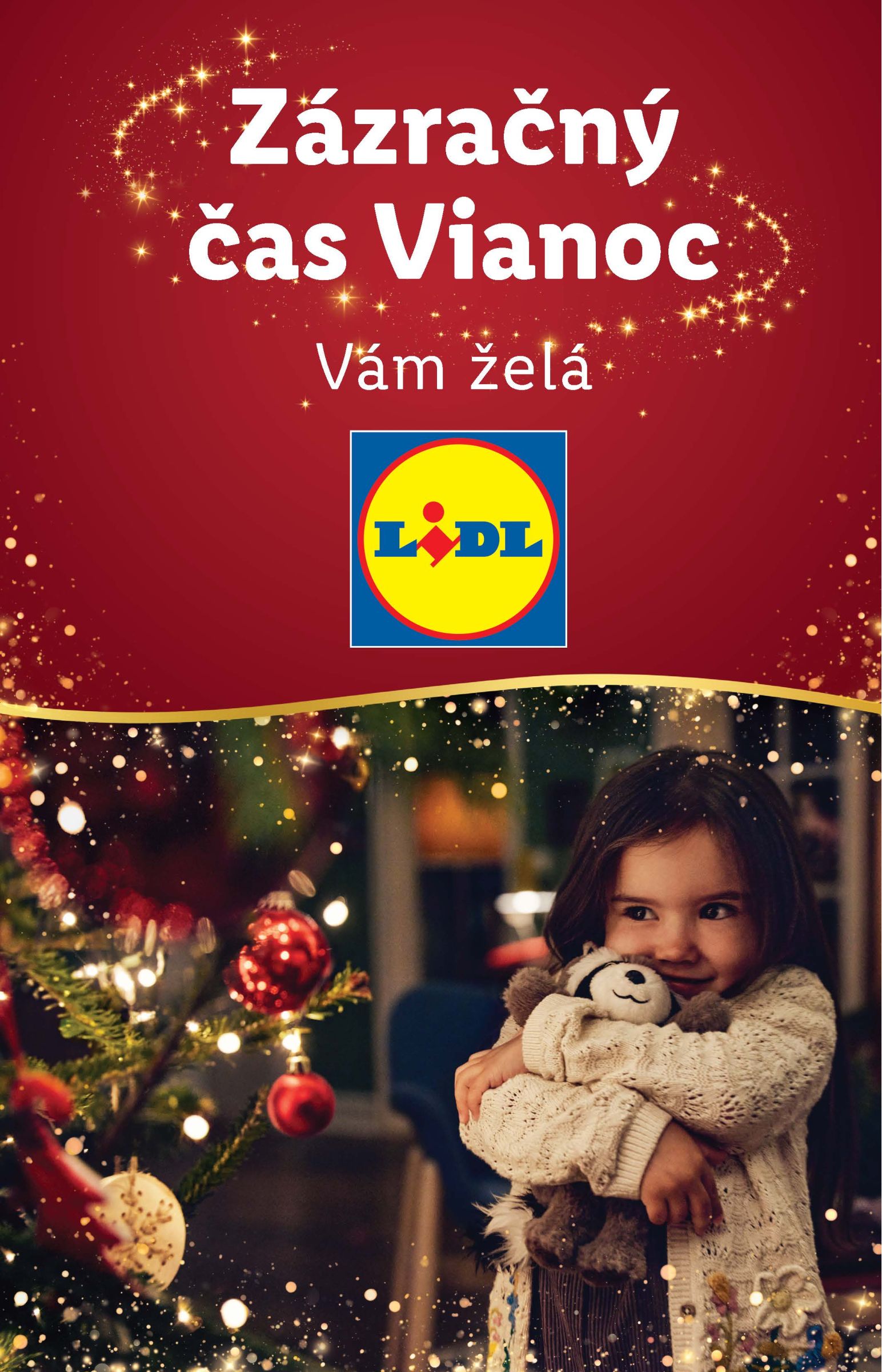 lidl - Lidl leták platný od 16.12. - 24.12. - page: 76