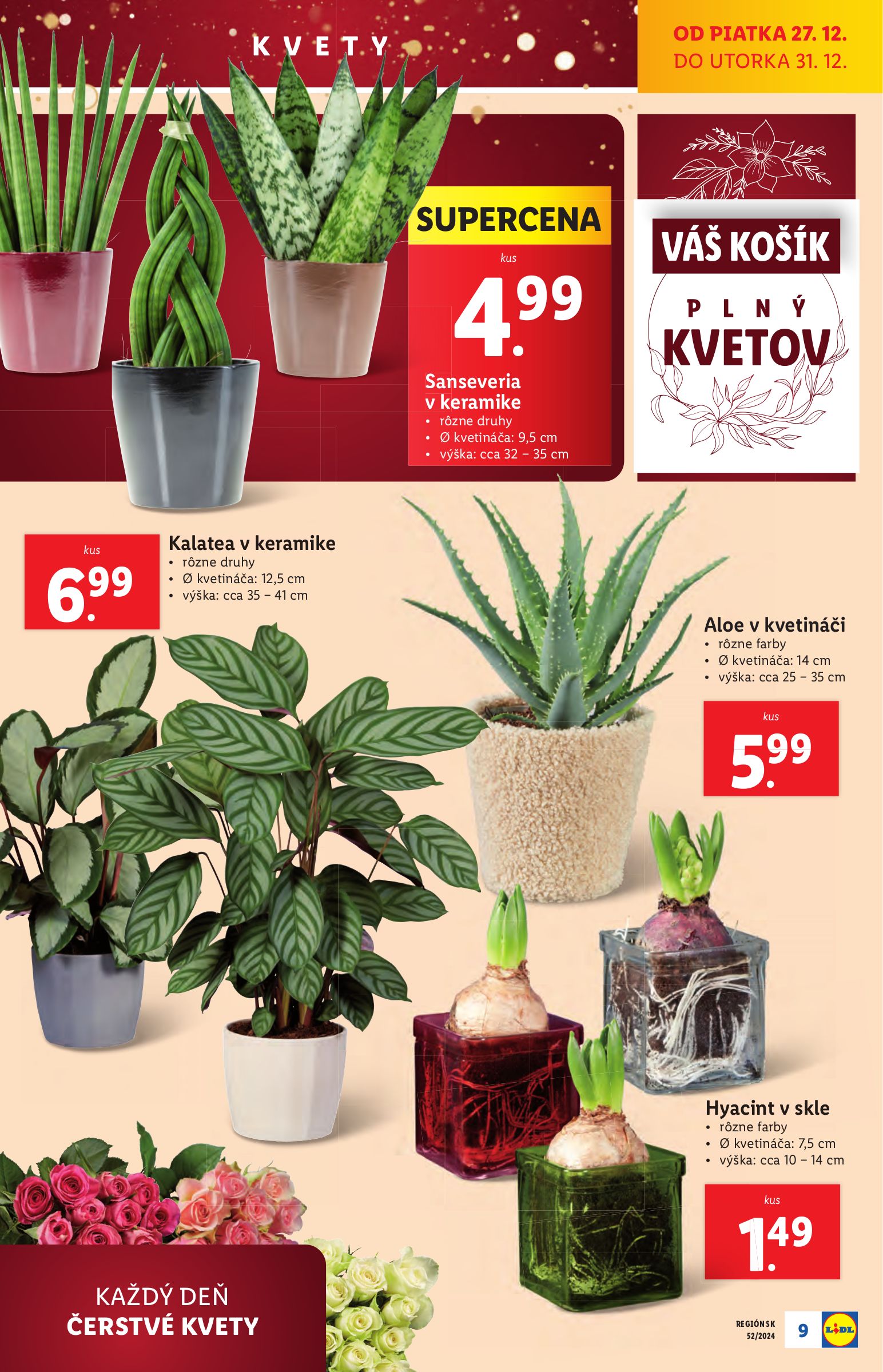 lidl - Lidl leták platný od 27.12. - 31.12. - page: 15