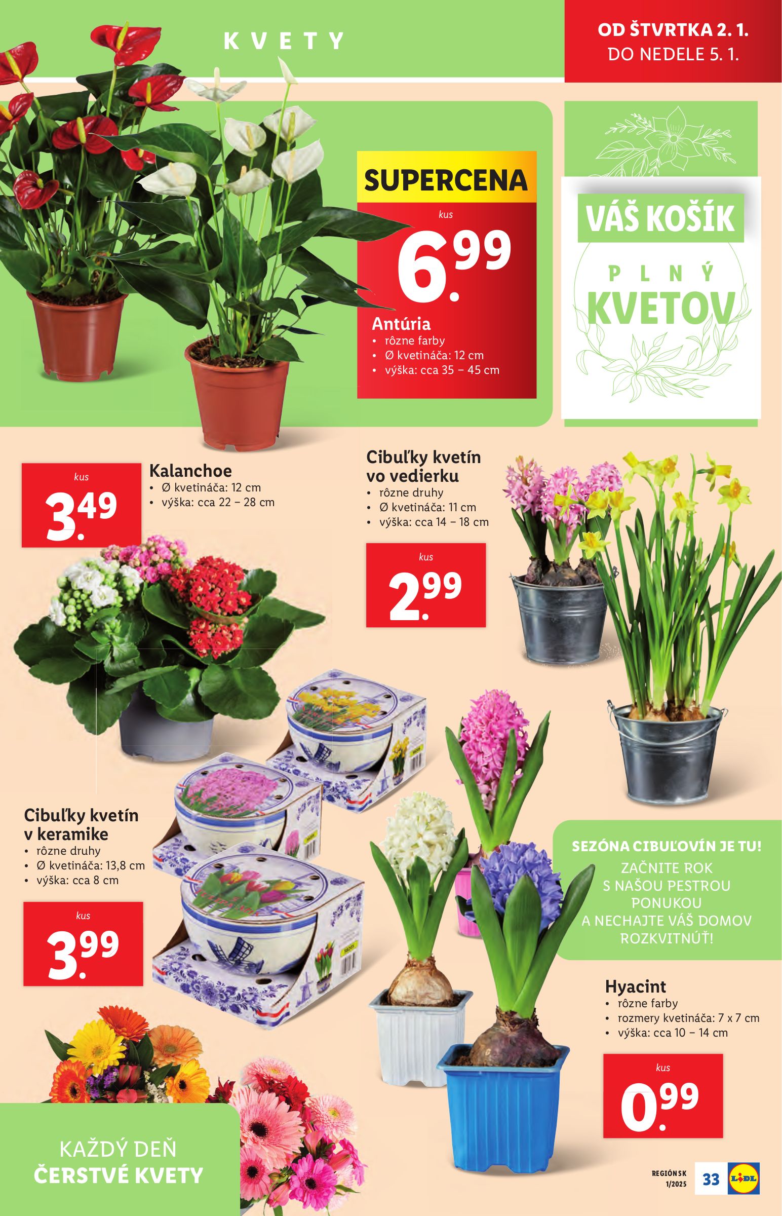 lidl - Lidl leták platný od 02.01. - 05.01. - page: 33