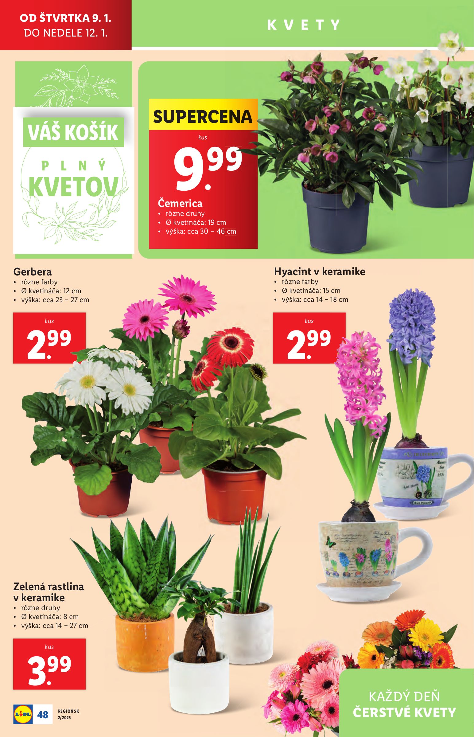 lidl - Lidl leták platný od 07.01. - 12.01. - page: 48