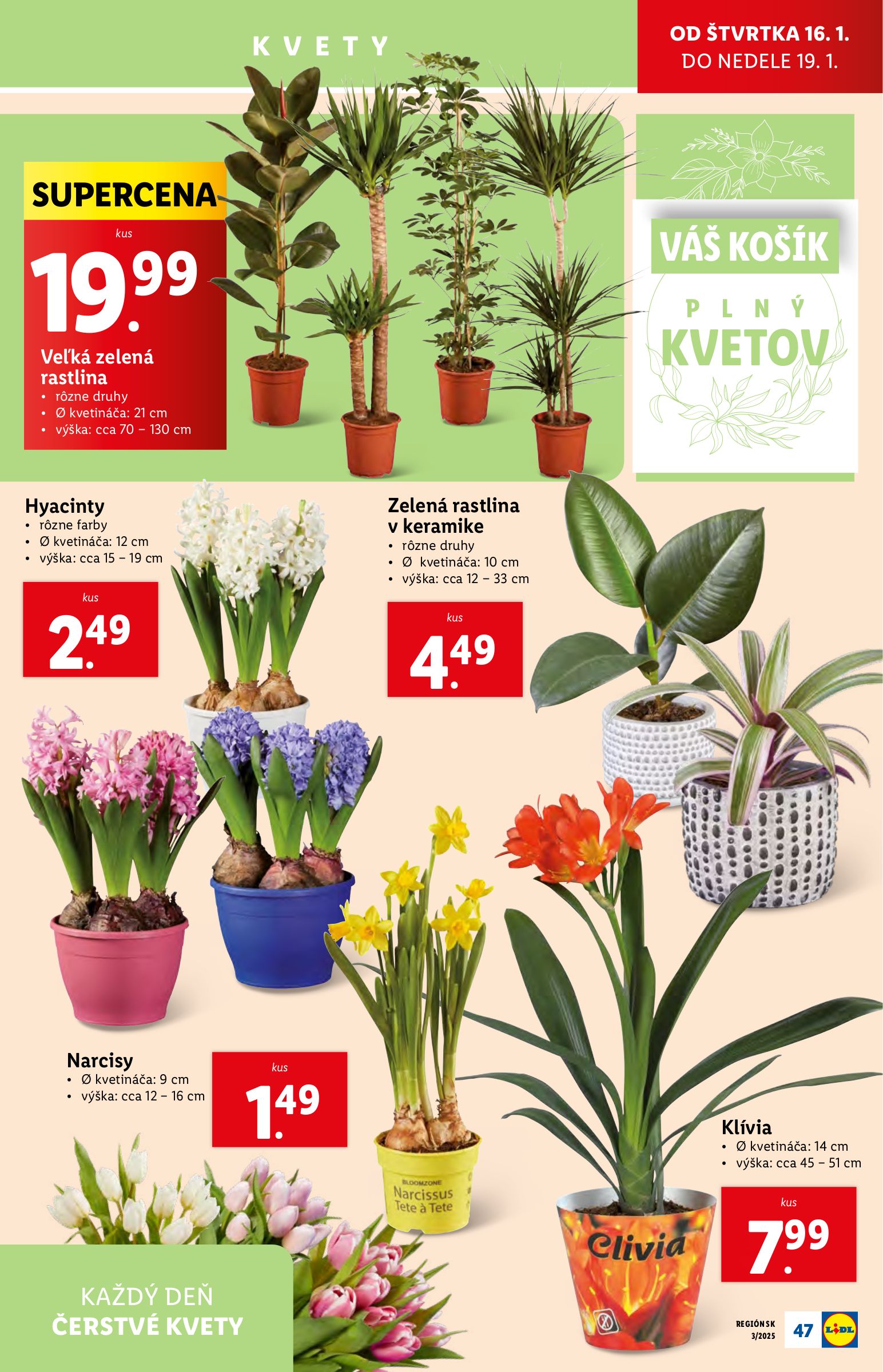 lidl - Lidl leták platný od 13.01. - 19.01. - page: 51