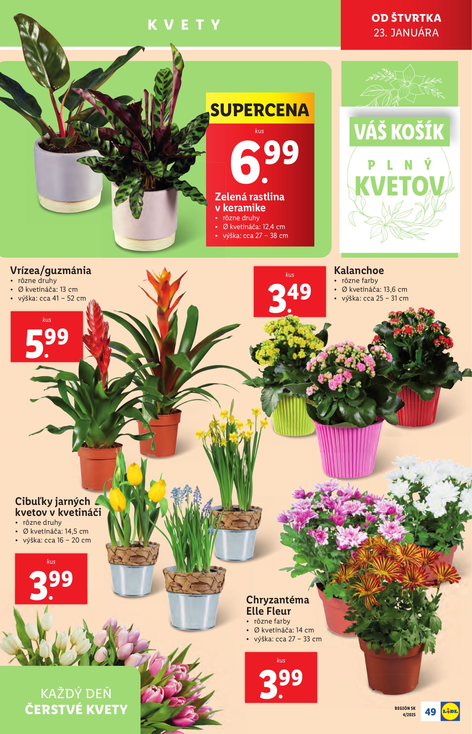 lidl - Lidl leták platný od 20.01. - 26.01. - page: 55