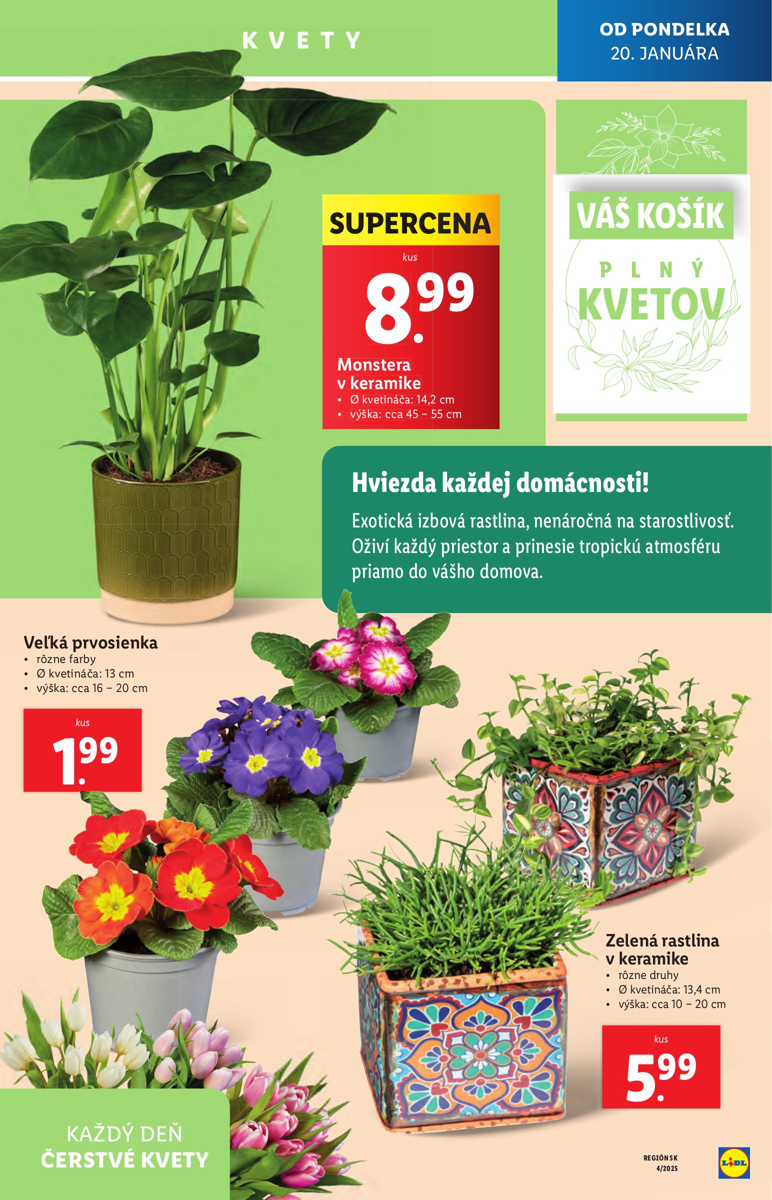 lidl - Lidl leták platný od 20.01. - 26.01. - page: 40