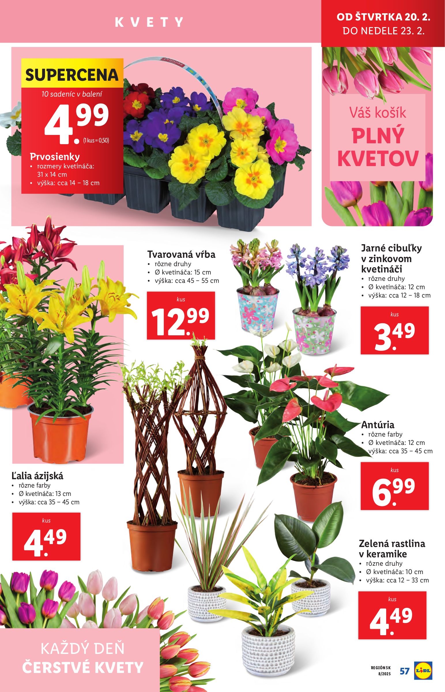 lidl - Lidl leták platný od 17.02. - 23.02. - page: 59