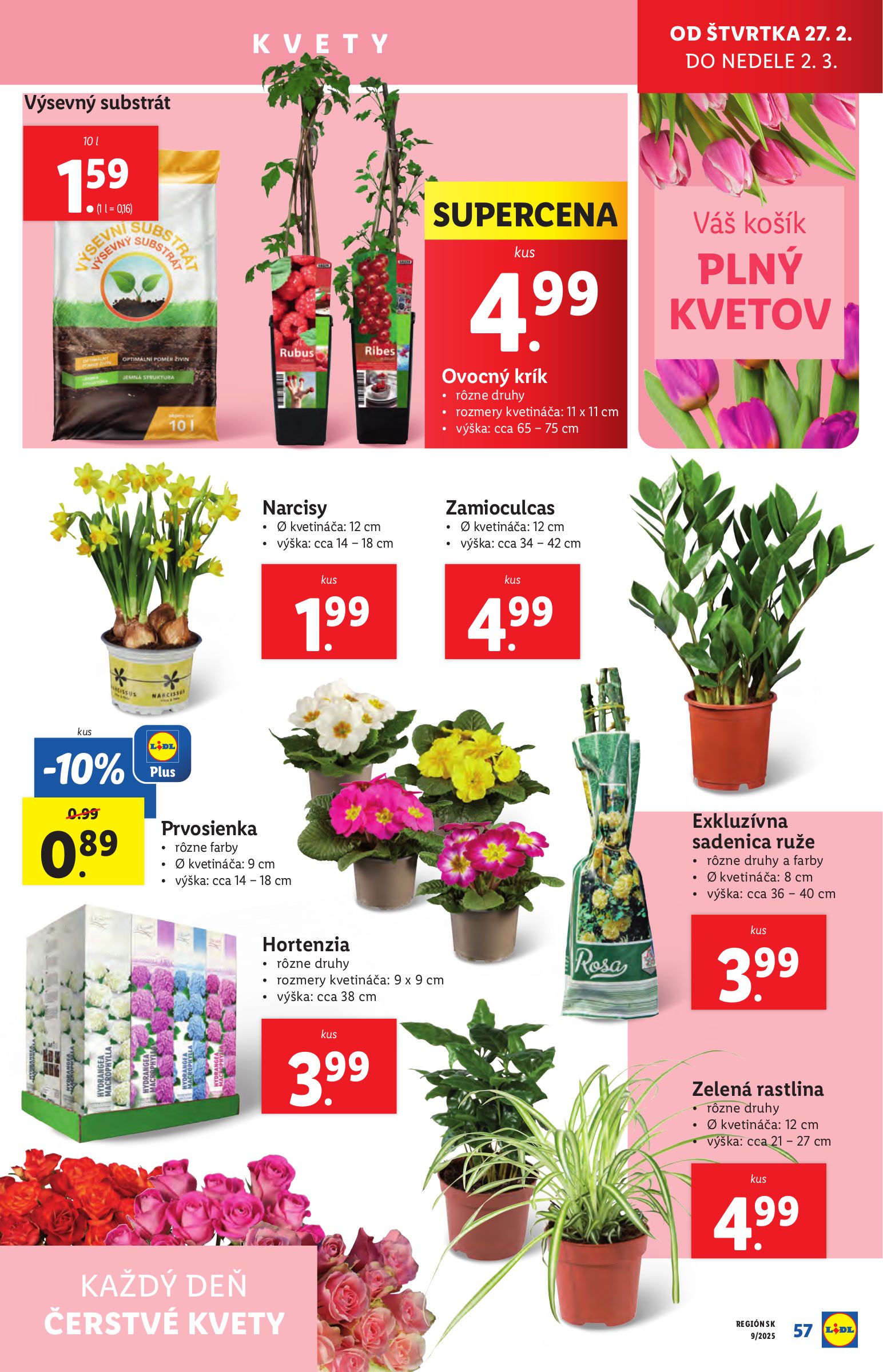 lidl - Lidl leták platný od 24.02. - 02.03. - page: 57