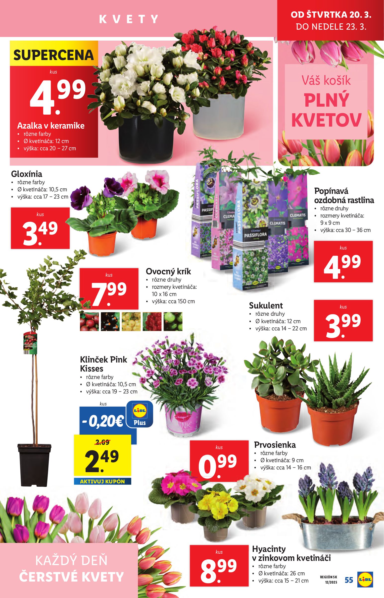 lidl - Lidl - Od pondelka leták platný od 17.03. - 23.03. - page: 63