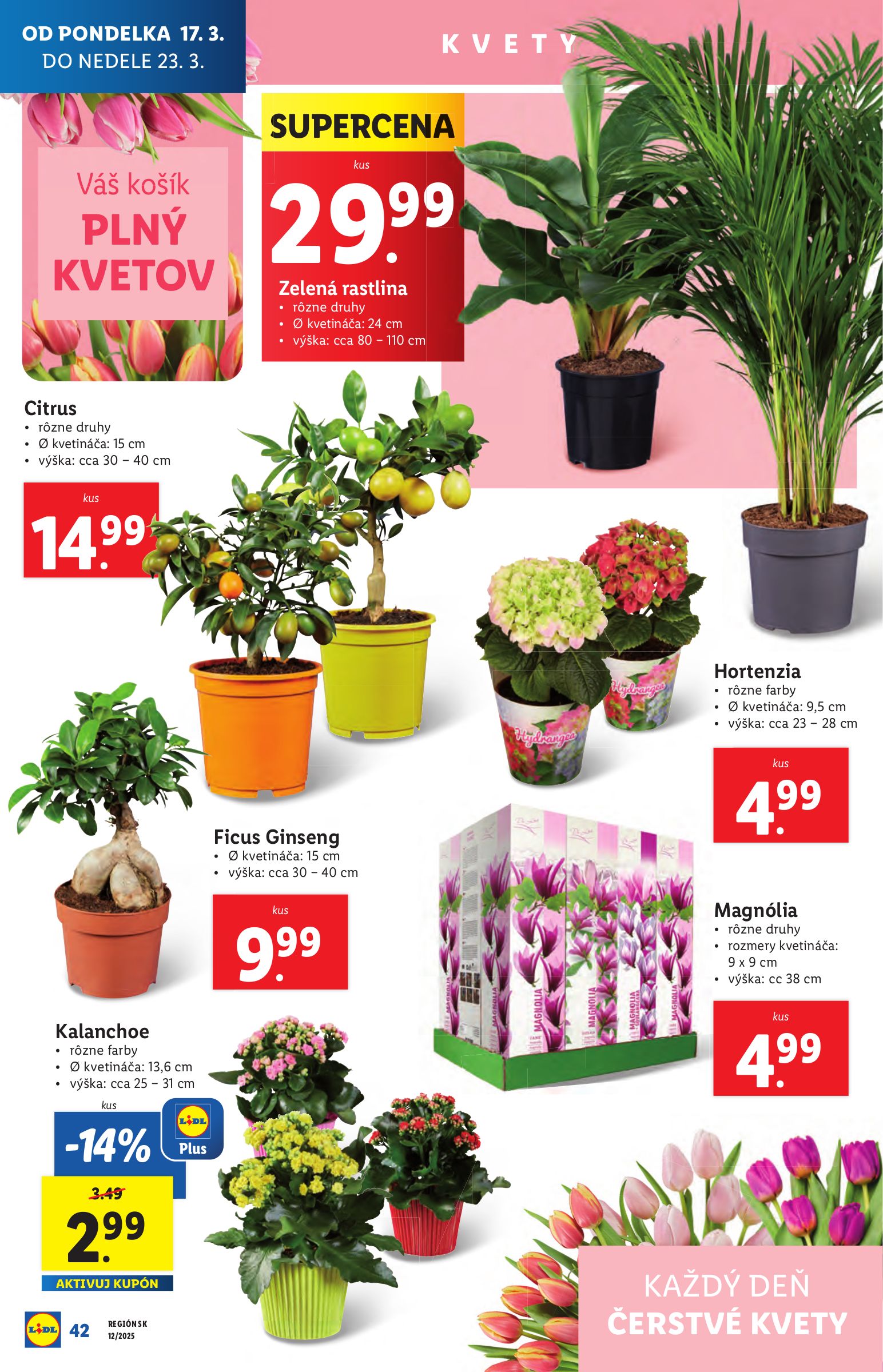 lidl - Lidl - Od pondelka leták platný od 17.03. - 23.03. - page: 49