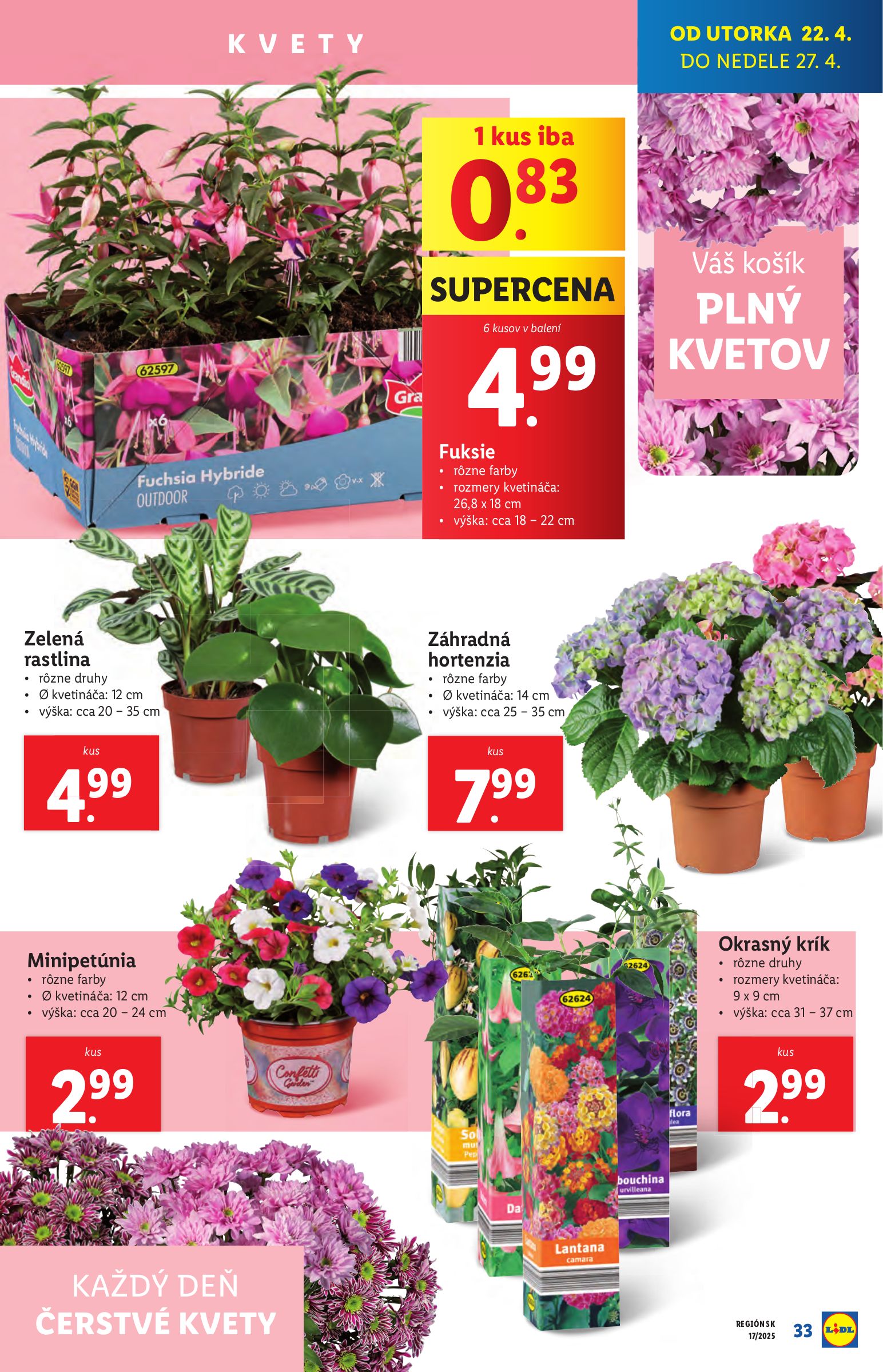 lidl - Lidl leták platný od 22.04. - 27.04. - page: 33