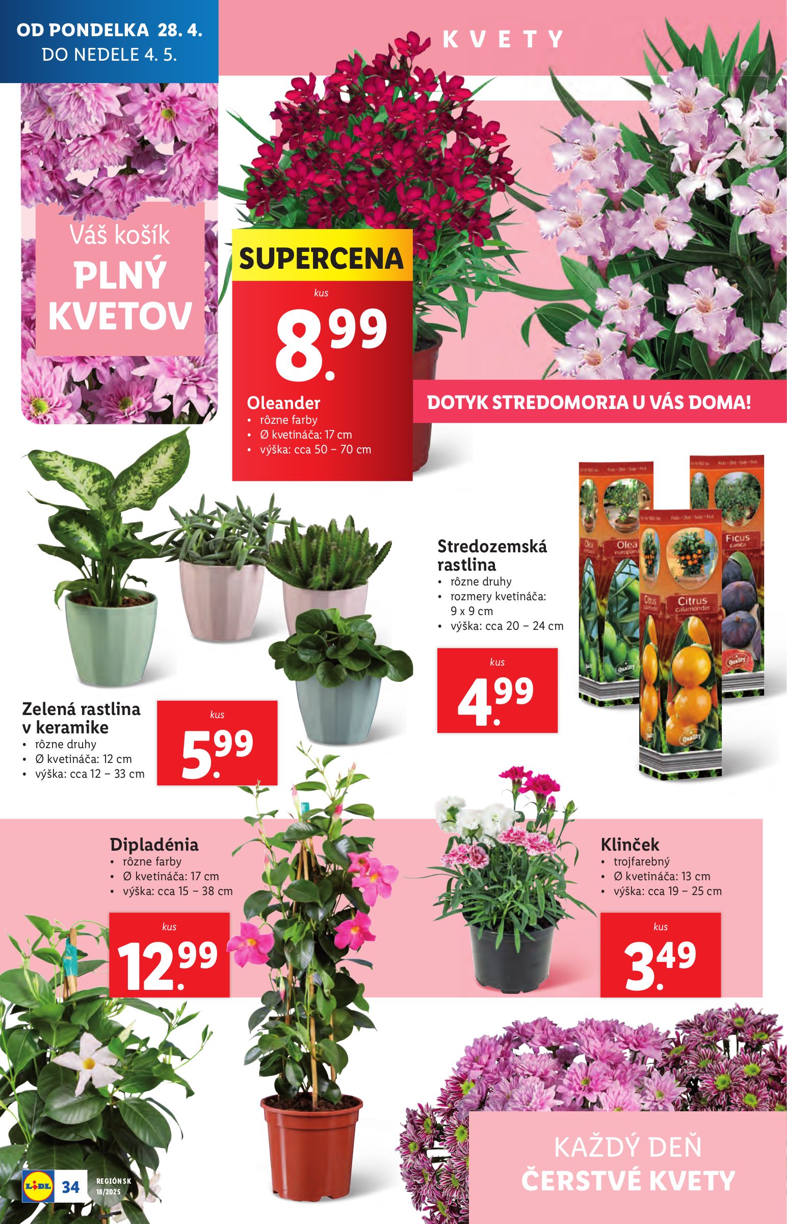 lidl - Lidl leták platný od 28.04. - 04.05. - page: 34 lidl - Lidl leták platný od 28.04. - 04.05. - page: 34