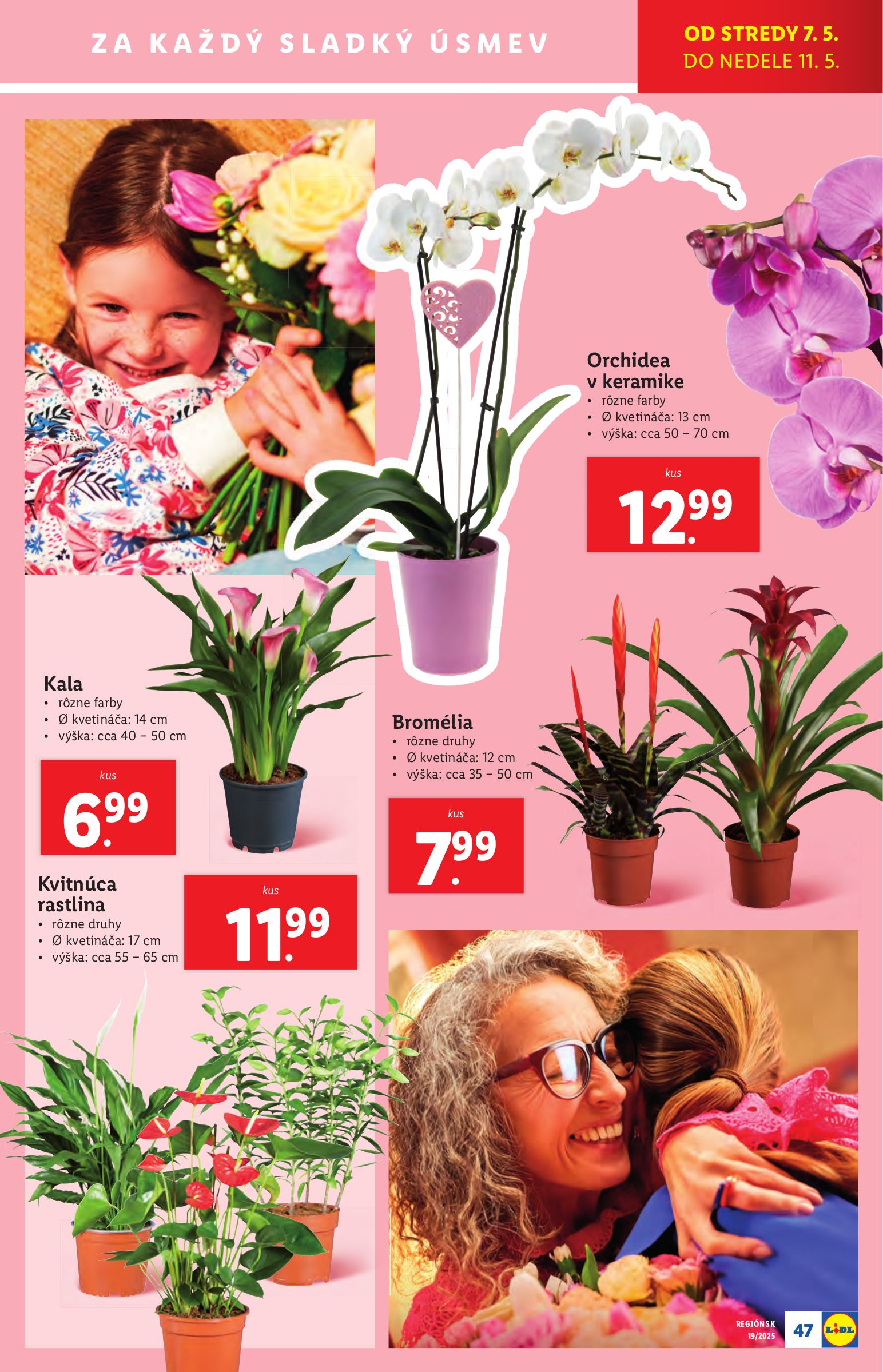 lidl - Lidl leták platný od 05.05. - 11.05. - page: 51 lidl - Lidl leták platný od 05.05. - 11.05. - page: 51