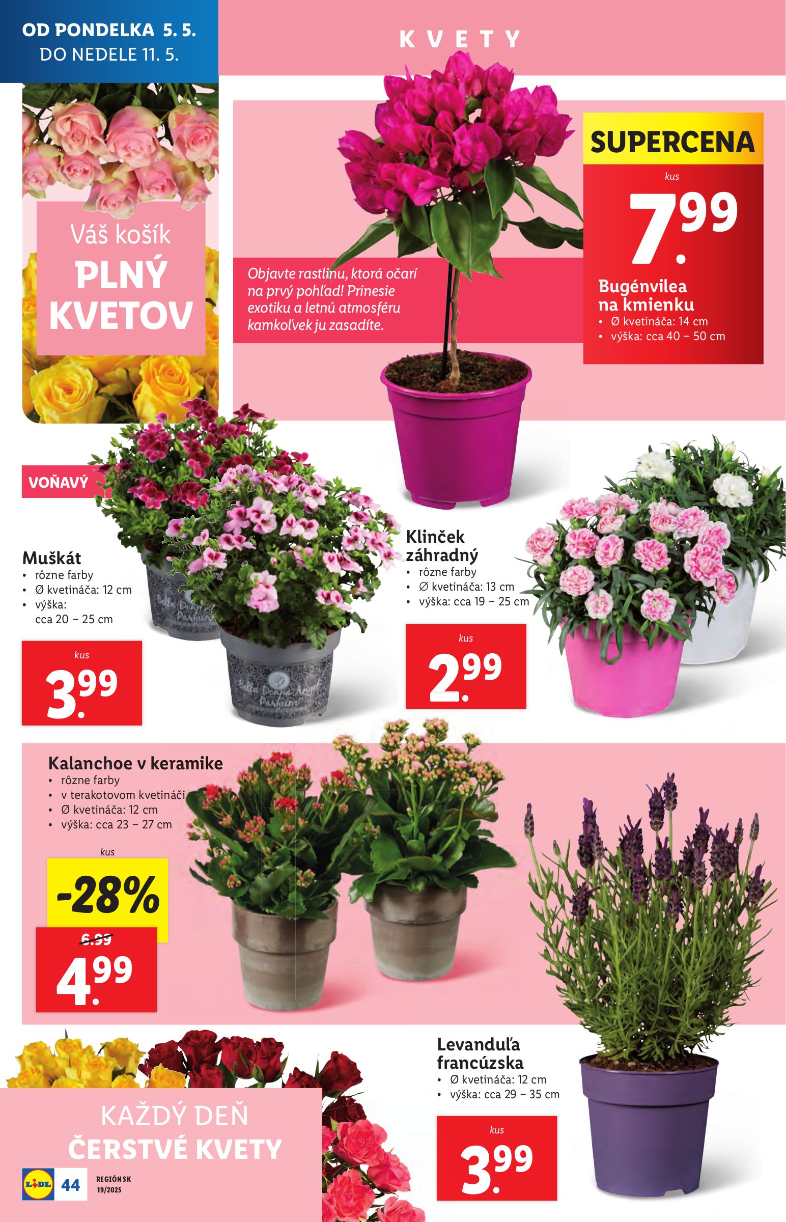 lidl - Lidl leták platný od 05.05. - 11.05. - page: 46 lidl - Lidl leták platný od 05.05. - 11.05. - page: 46