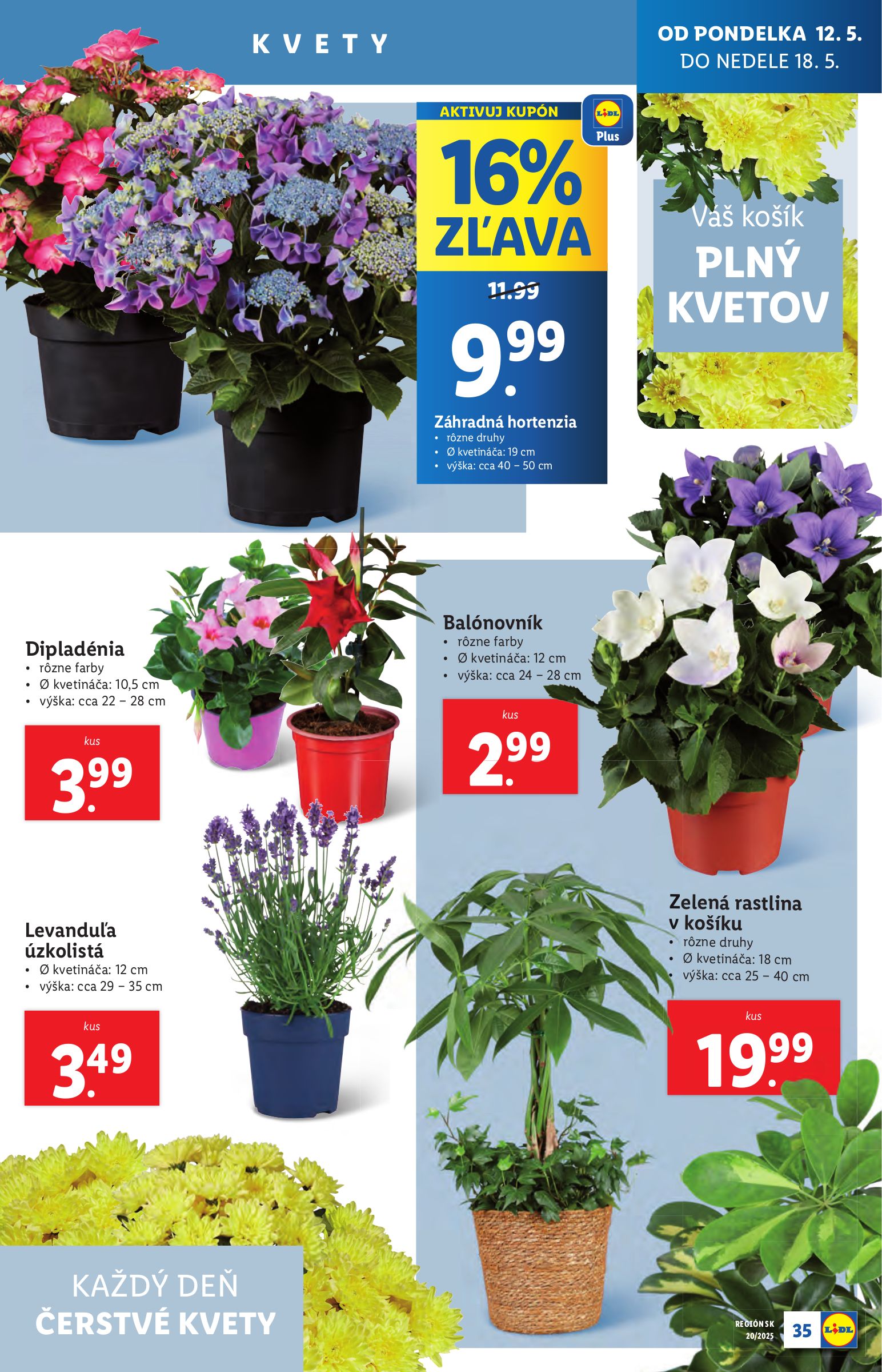 lidl - Lidl leták platný od 12.05. - 18.05. - page: 37 lidl - Lidl leták platný od 12.05. - 18.05. - page: 37