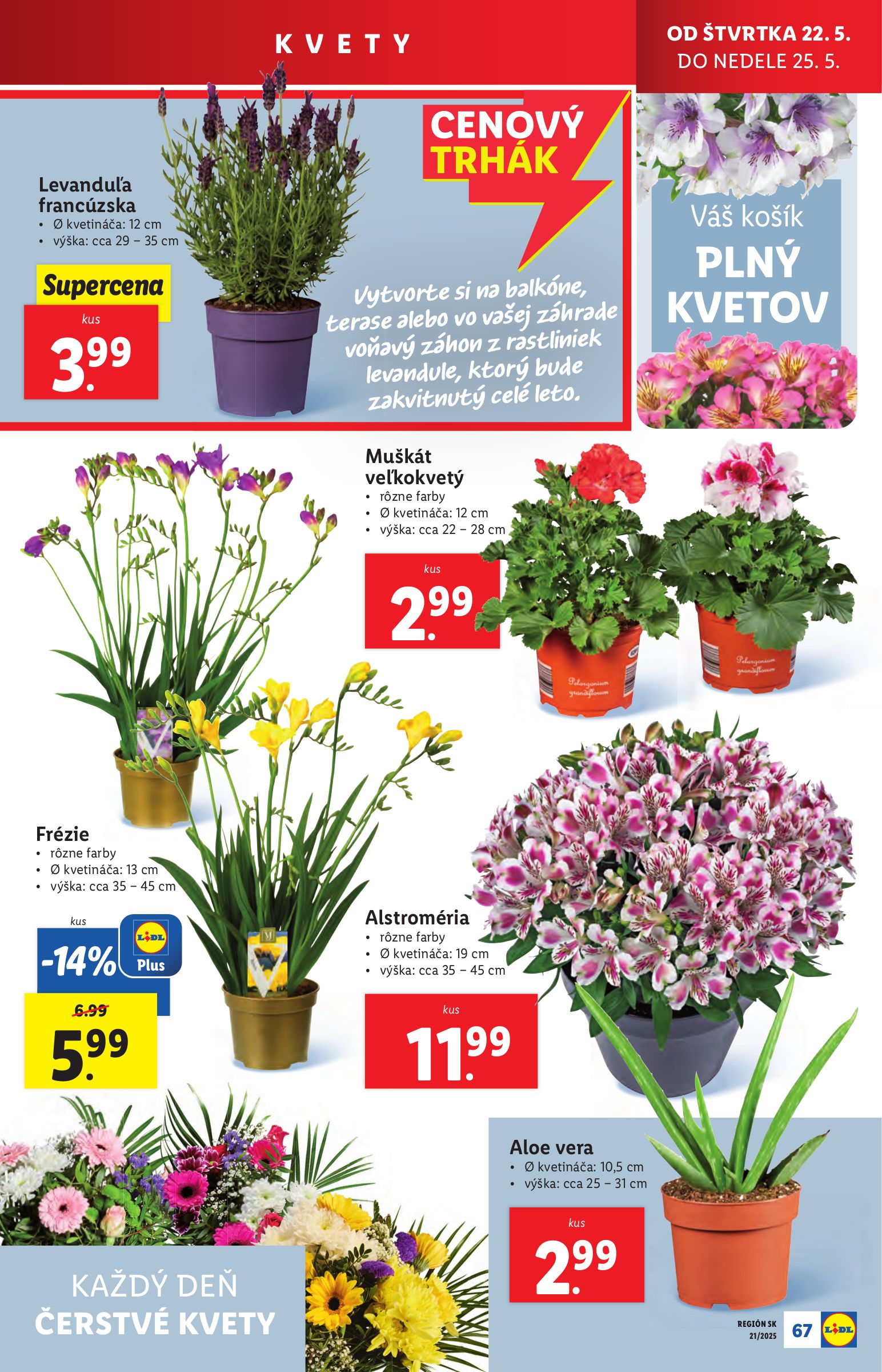 lidl - Lidl leták platný od 19.05. - 25.05. - page: 95 lidl - Lidl leták platný od 19.05. - 25.05. - page: 95