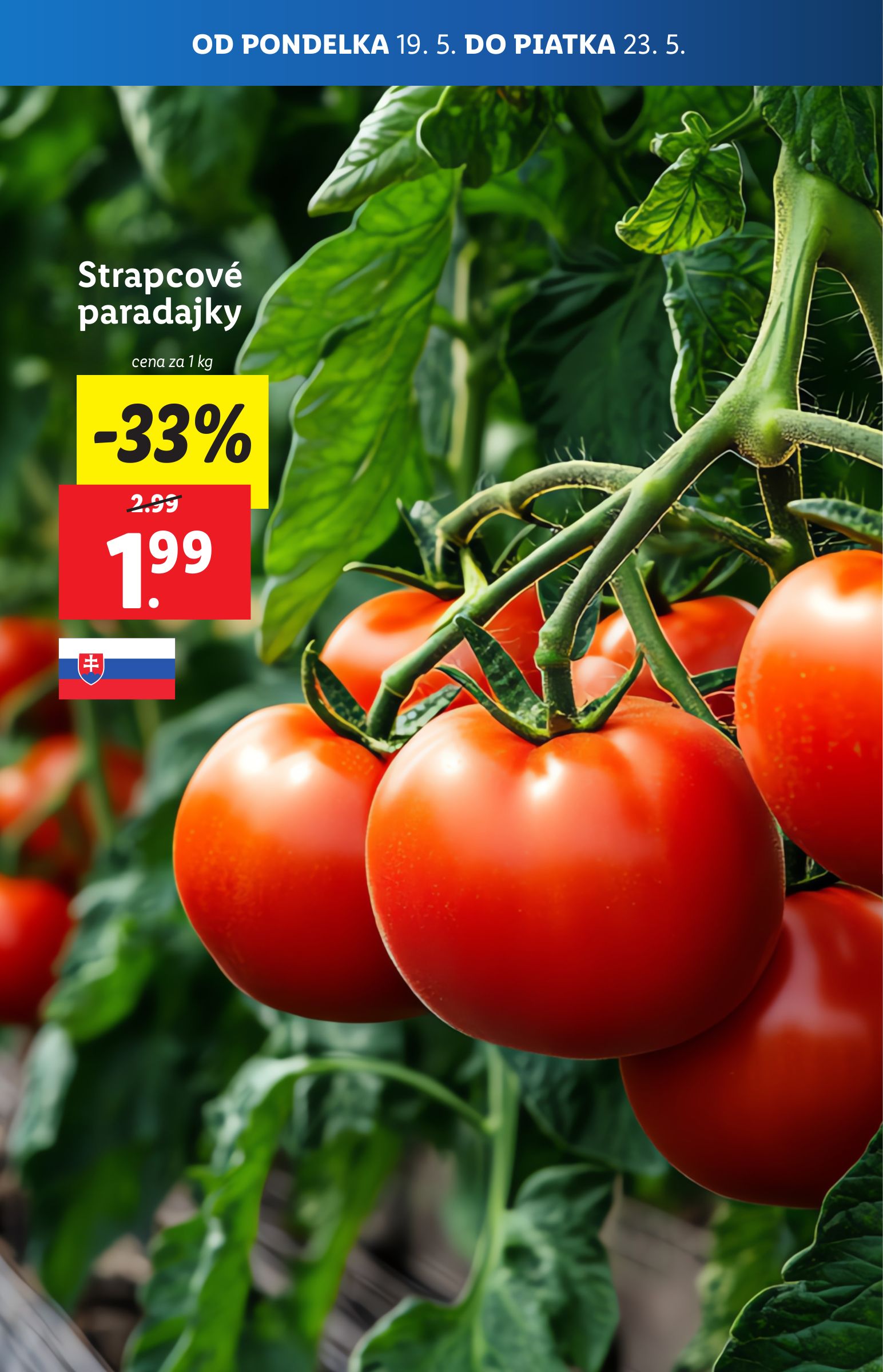lidl - Lidl leták platný od 19.05. - 25.05. - page: 81 lidl - Lidl leták platný od 19.05. - 25.05. - page: 81