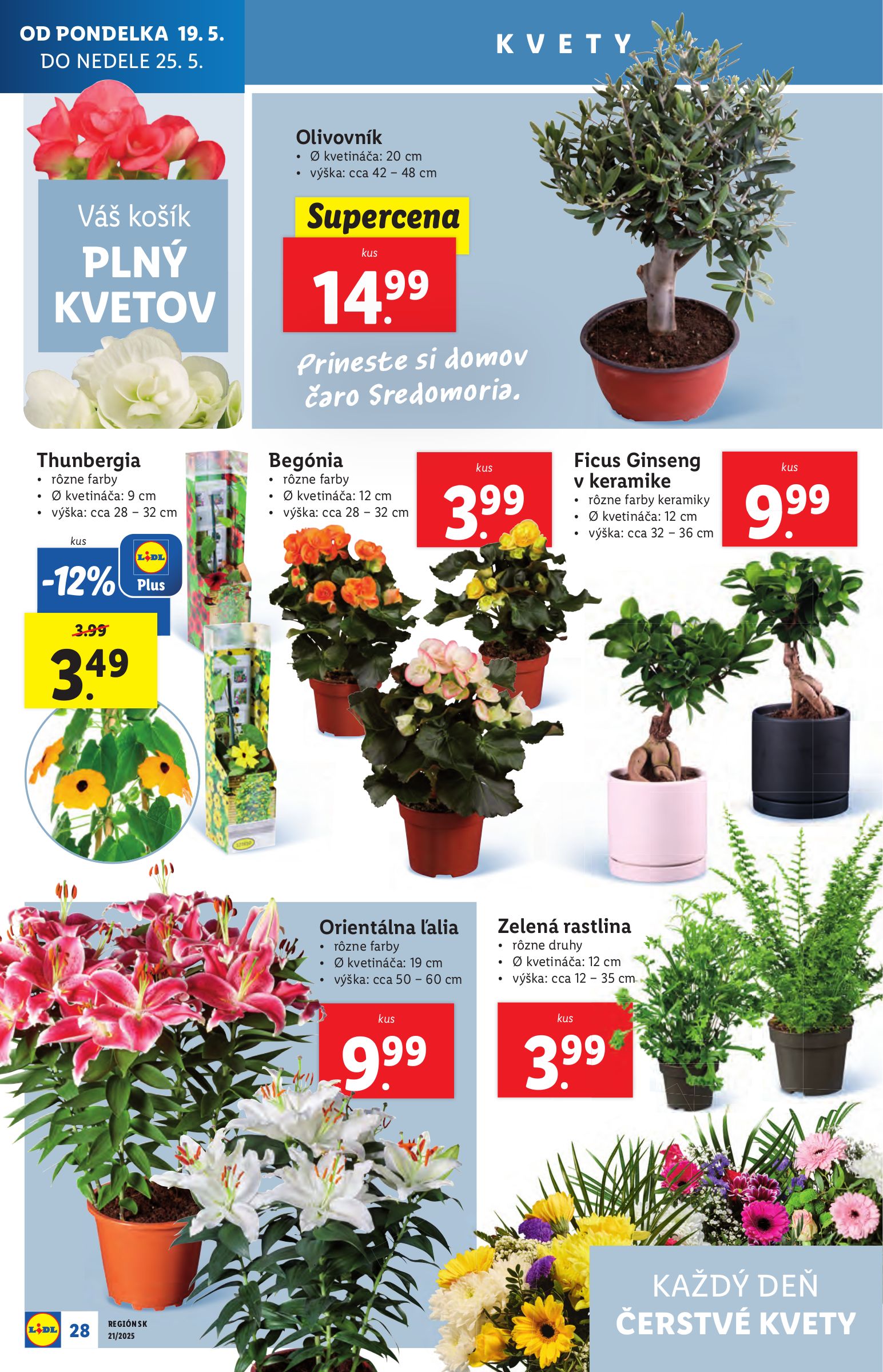 lidl - Lidl leták platný od 19.05. - 25.05. - page: 40 lidl - Lidl leták platný od 19.05. - 25.05. - page: 40