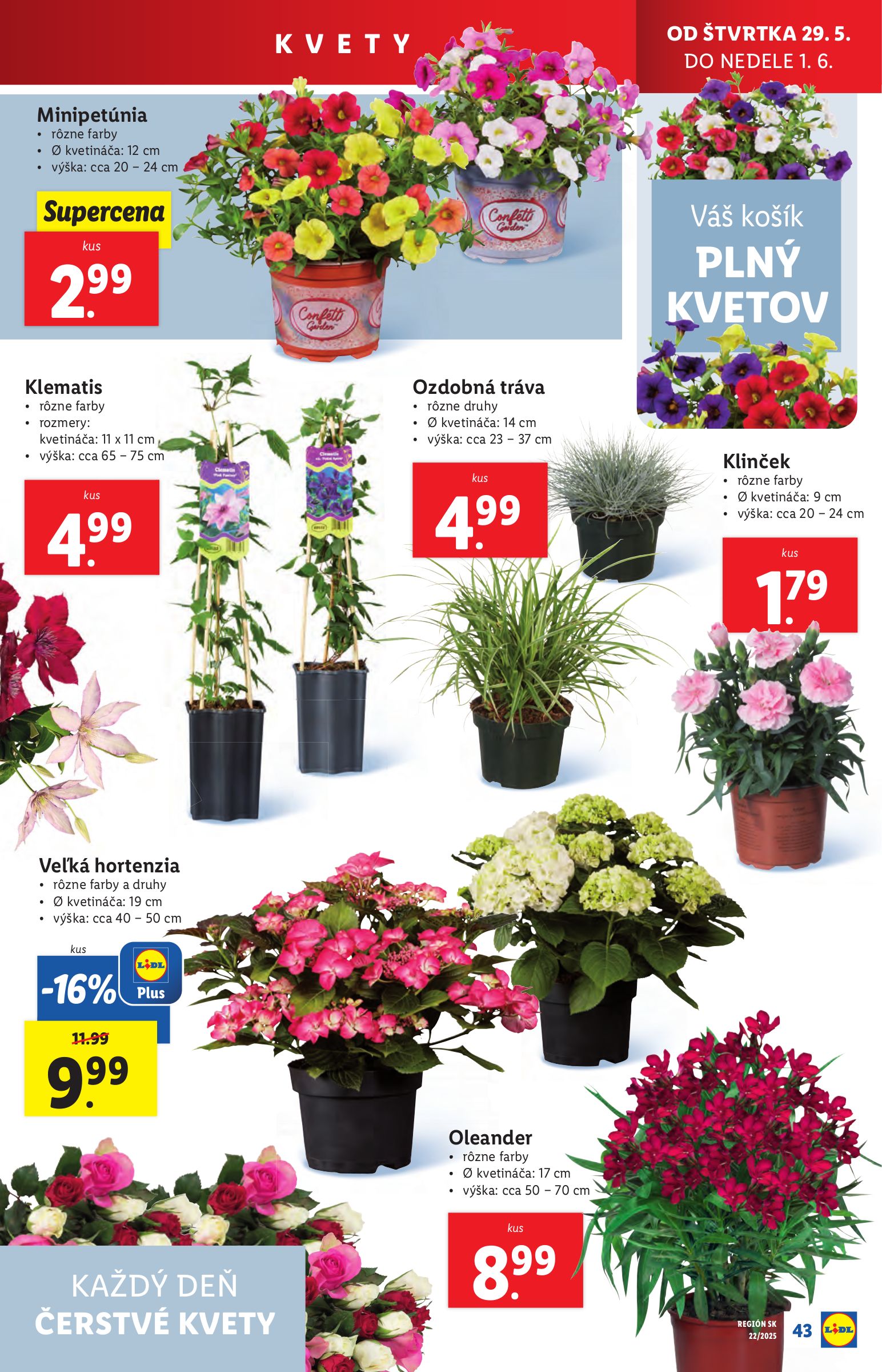 lidl - Lidl leták platný od 26.05. - 01.06. - page: 61 lidl - Lidl leták platný od 26.05. - 01.06. - page: 61