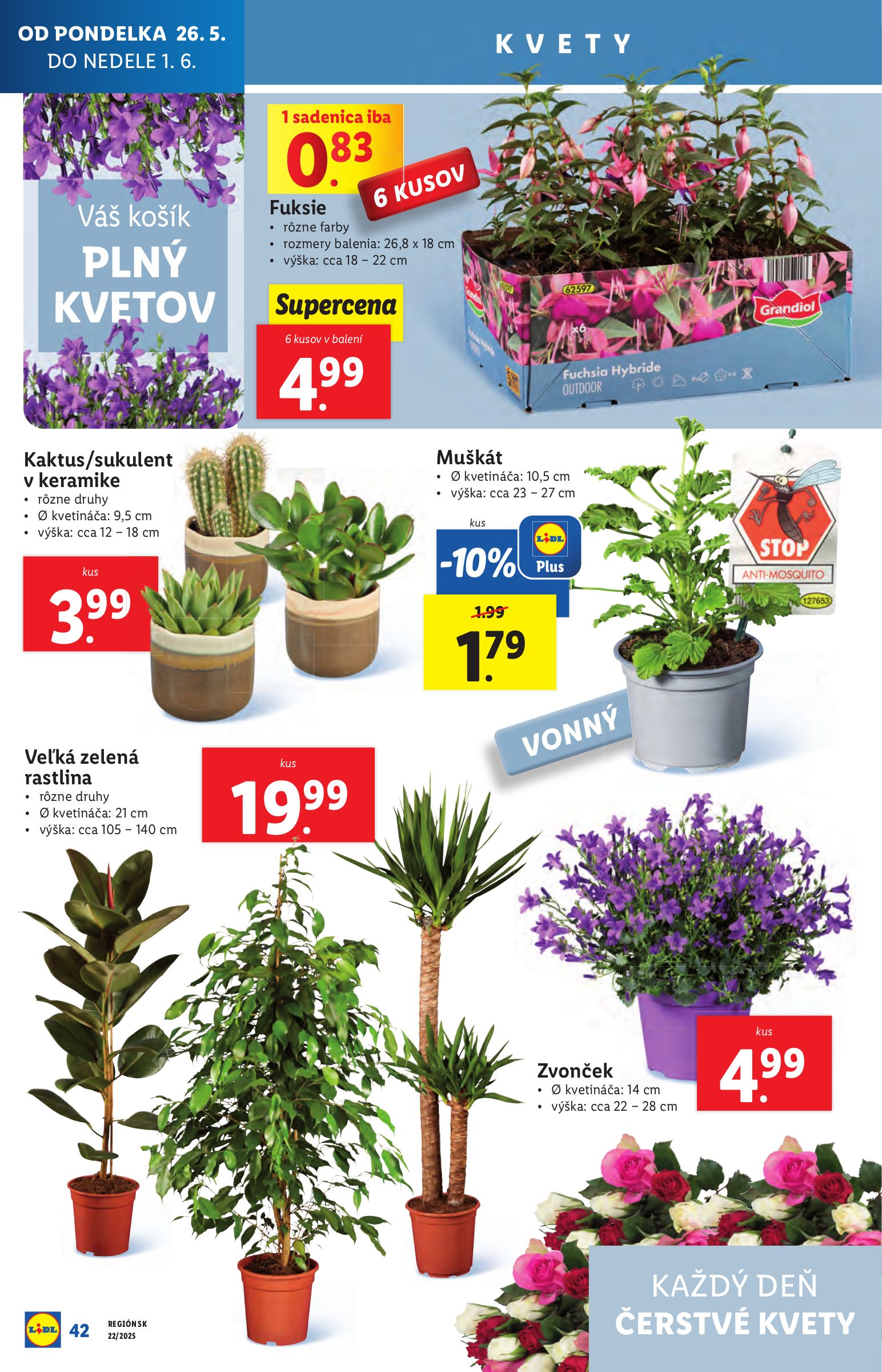 lidl - Lidl leták platný od 26.05. - 01.06. - page: 60 lidl - Lidl leták platný od 26.05. - 01.06. - page: 60