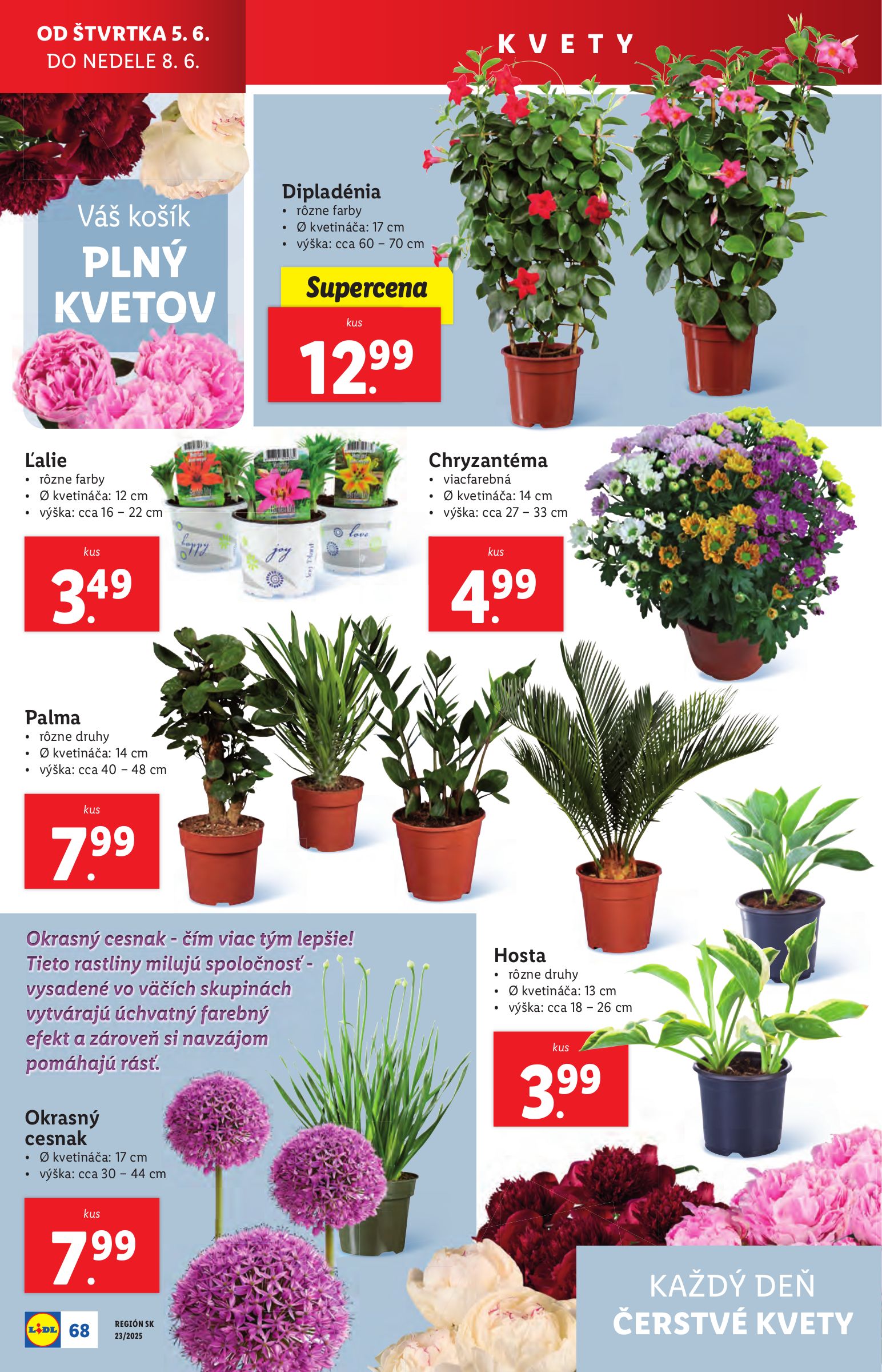 lidl - Lidl leták platný od 02.06. - 08.06. - page: 88