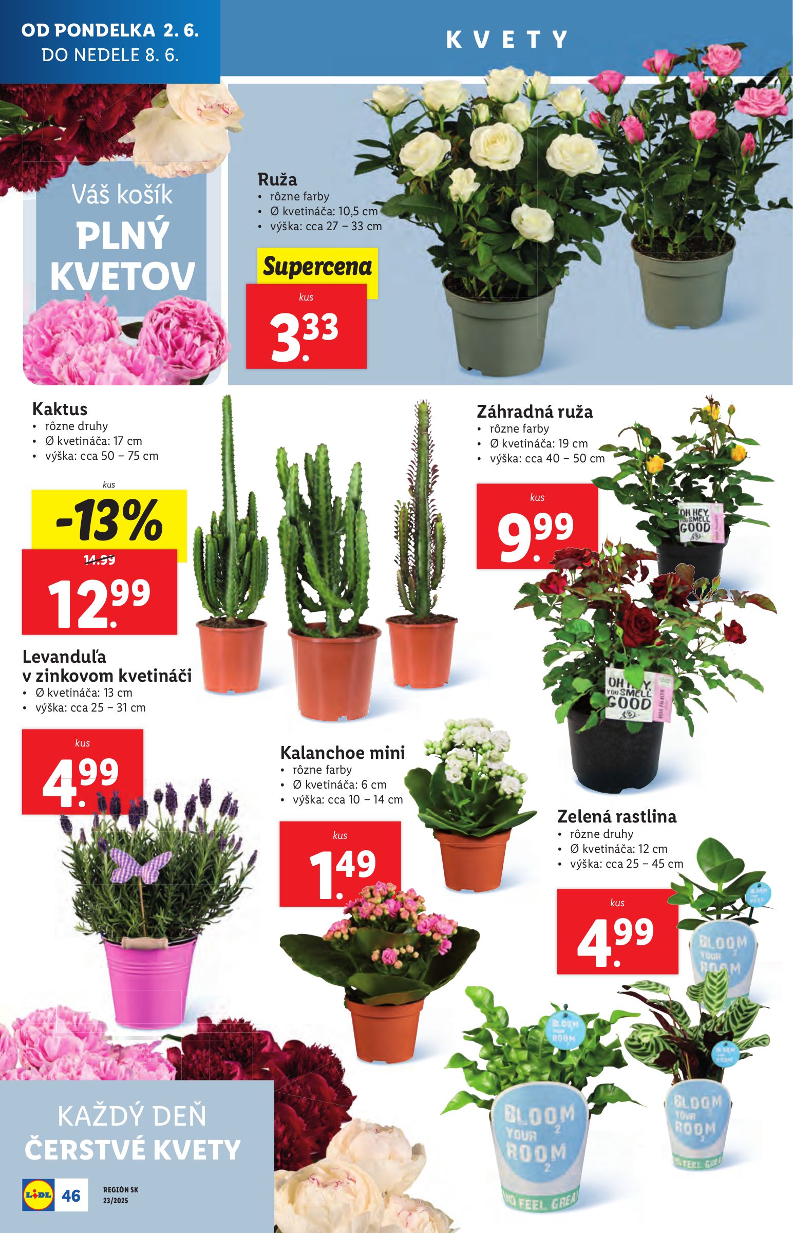lidl - Lidl leták platný od 02.06. - 08.06. - page: 58