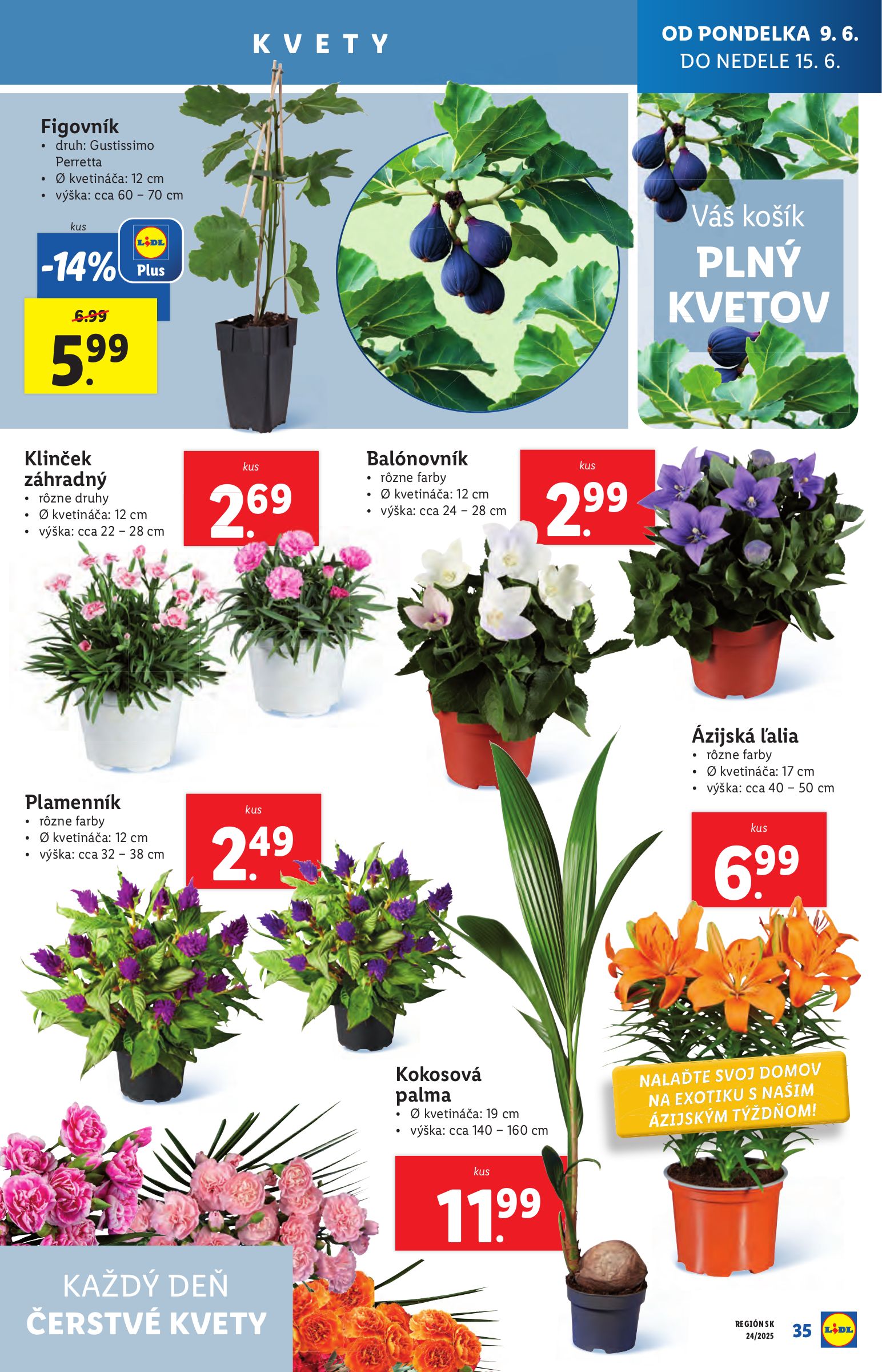 lidl - Leták Lidl platný od 09.06. do 15.06. - page: 39 lidl - Leták Lidl platný od 09.06. do 15.06. - page: 39