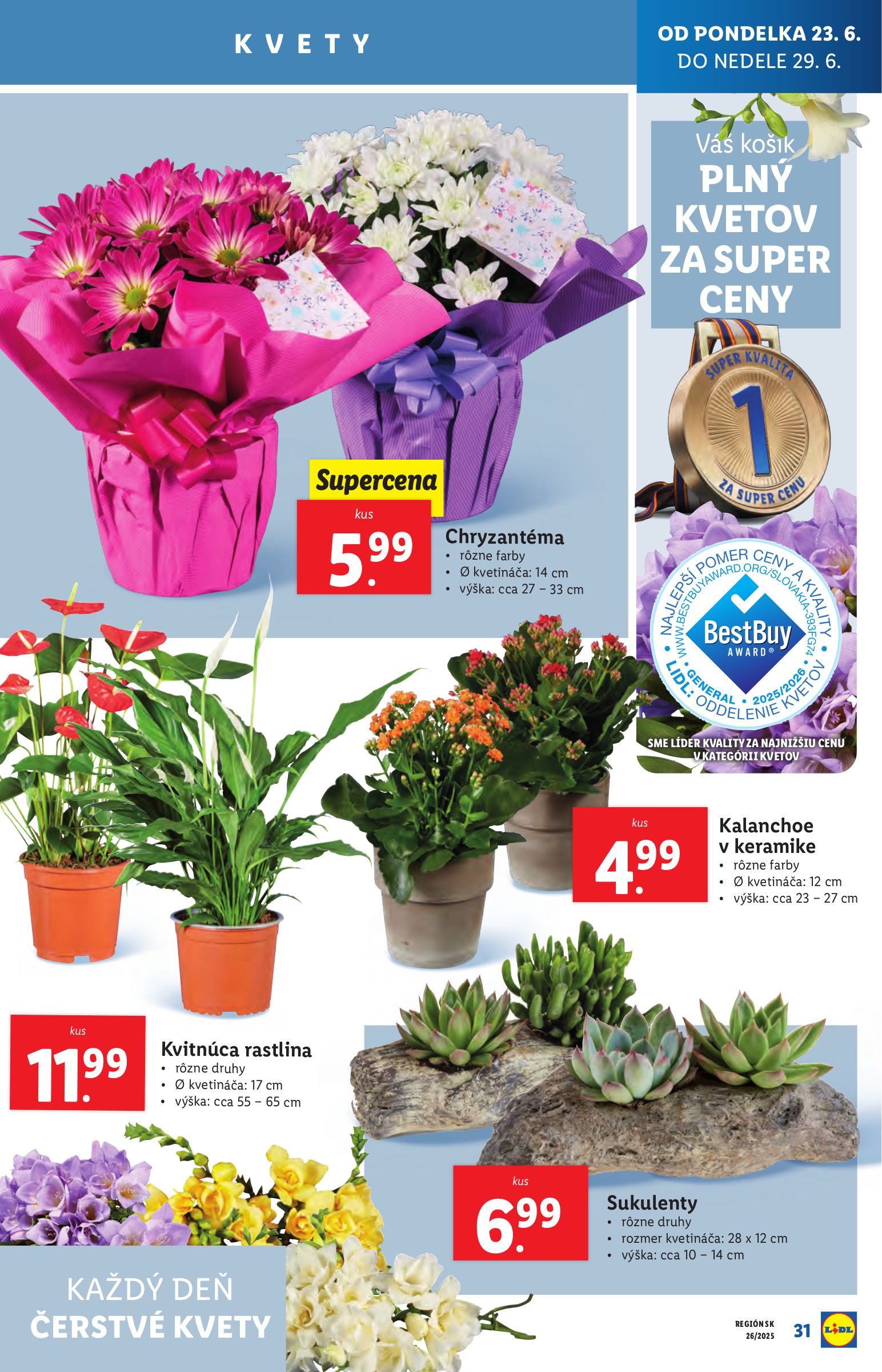 lidl - Leták Lidl platný od 23.06. do 29.06. - page: 39 lidl - Leták Lidl platný od 23.06. do 29.06. - page: 39