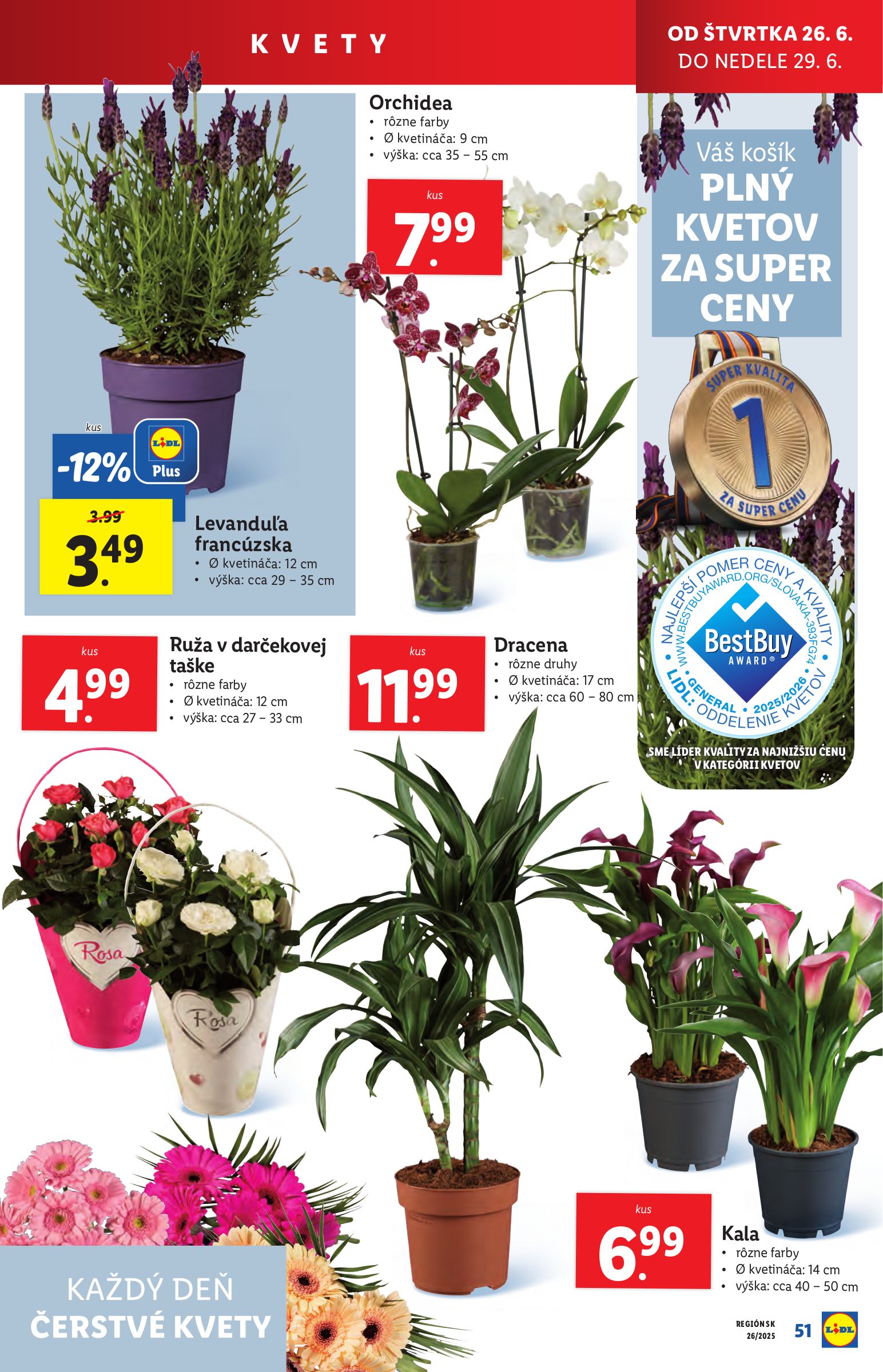 lidl - Leták Lidl platný od 23.06. do 29.06. - page: 67 lidl - Leták Lidl platný od 23.06. do 29.06. - page: 67