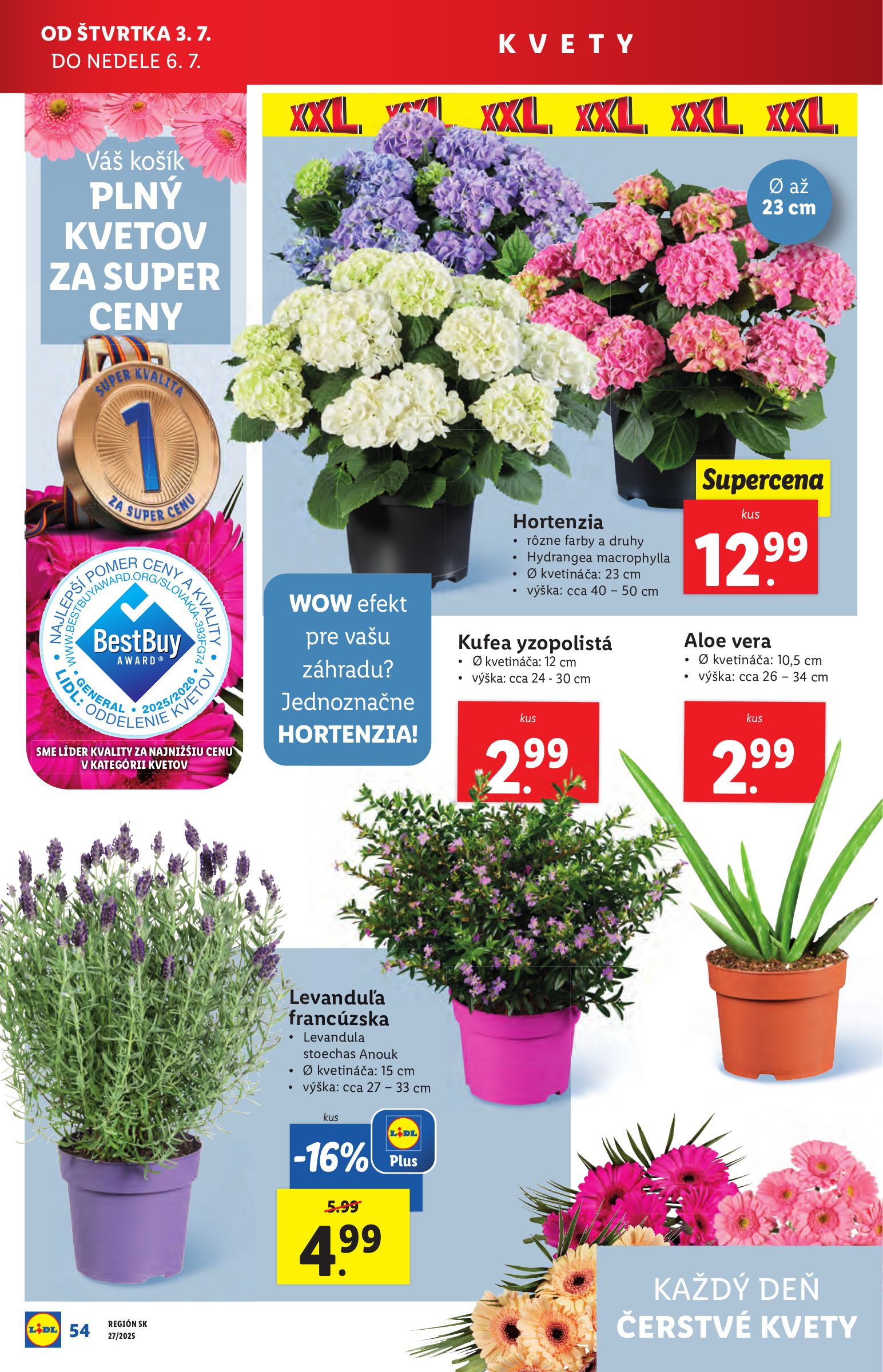 lidl - Leták Lidl platný od 30.06. do 06.07. - page: 70 lidl - Leták Lidl platný od 30.06. do 06.07. - page: 70
