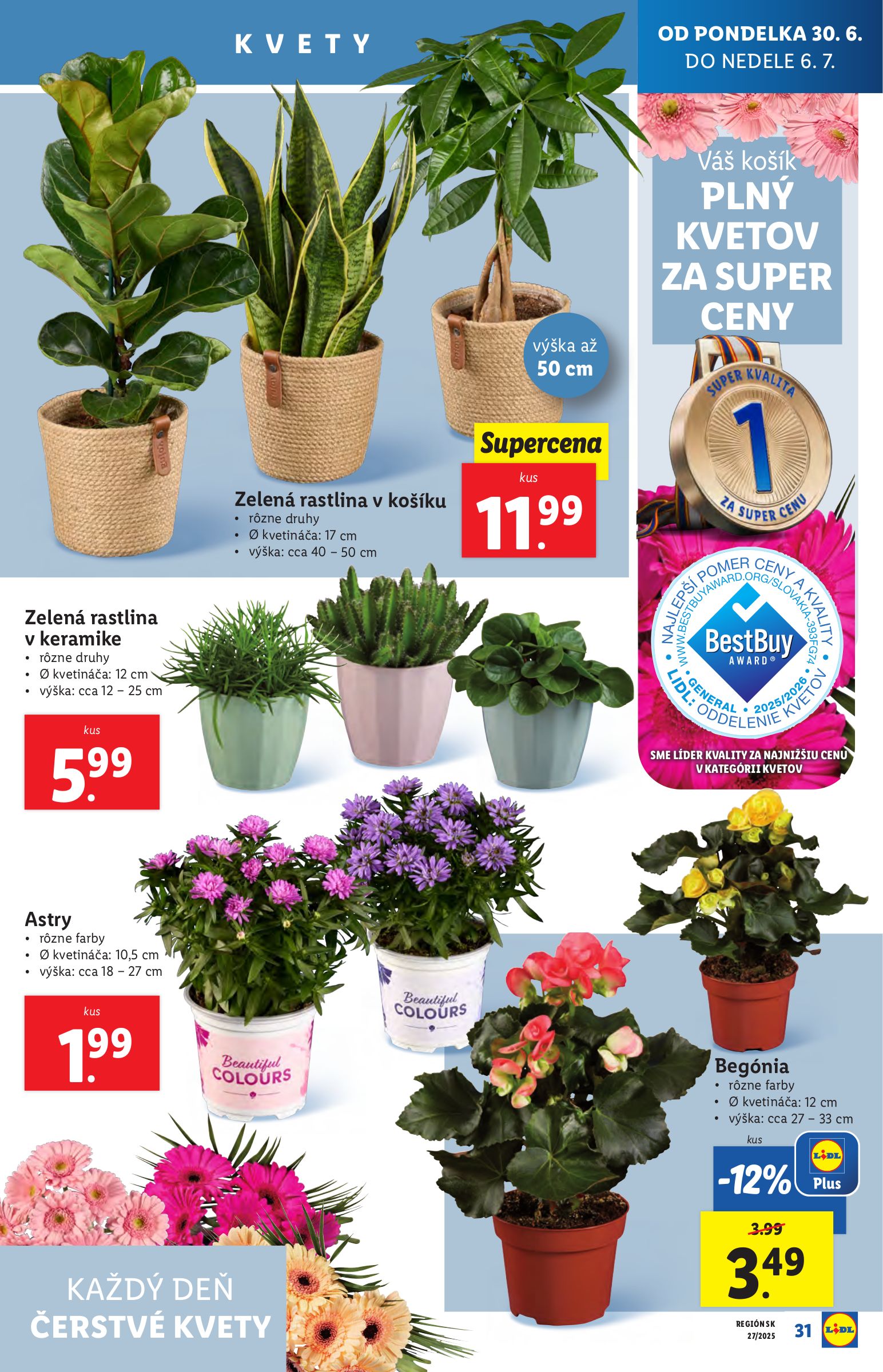 lidl - Leták Lidl platný od 30.06. do 06.07. - page: 39 lidl - Leták Lidl platný od 30.06. do 06.07. - page: 39