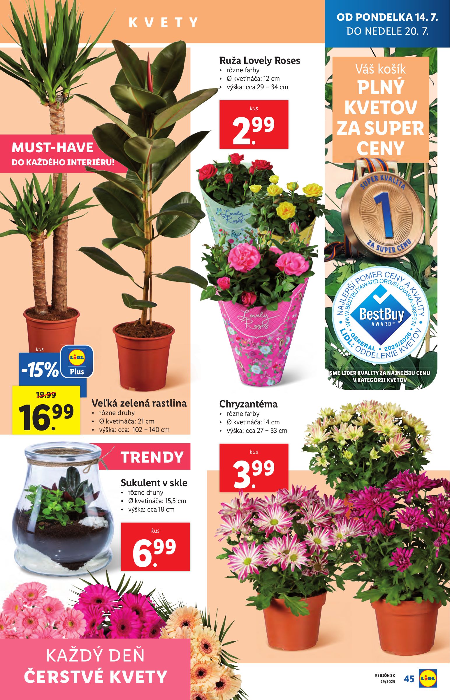 lidl - Leták Lidl platný od 14.07. do 20.07. - page: 53 lidl - Leták Lidl platný od 14.07. do 20.07. - page: 53