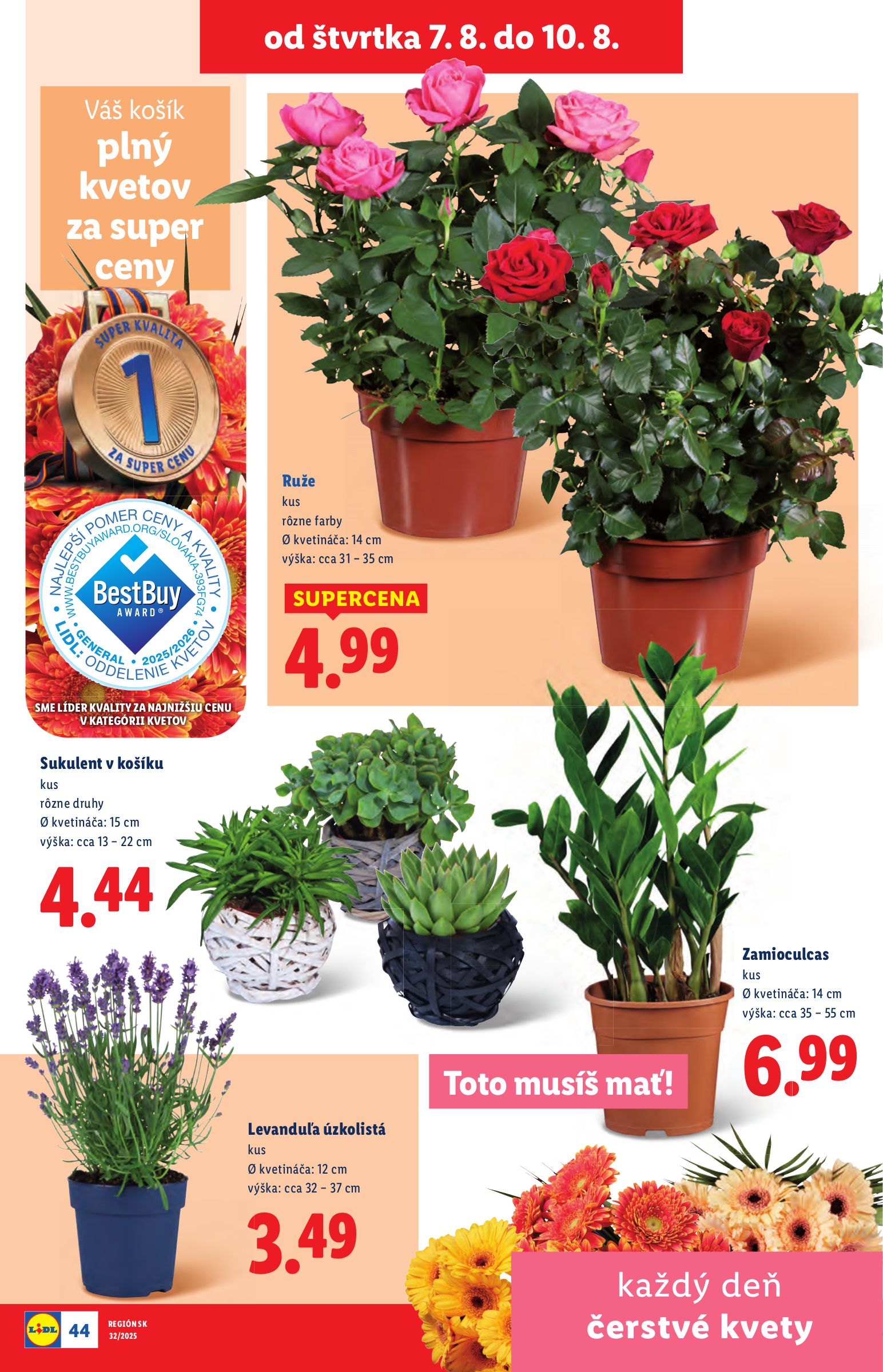 lidl - Leták Lidl platný od 04.08. do 10.08. - page: 75 lidl - Leták Lidl platný od 04.08. do 10.08. - page: 75