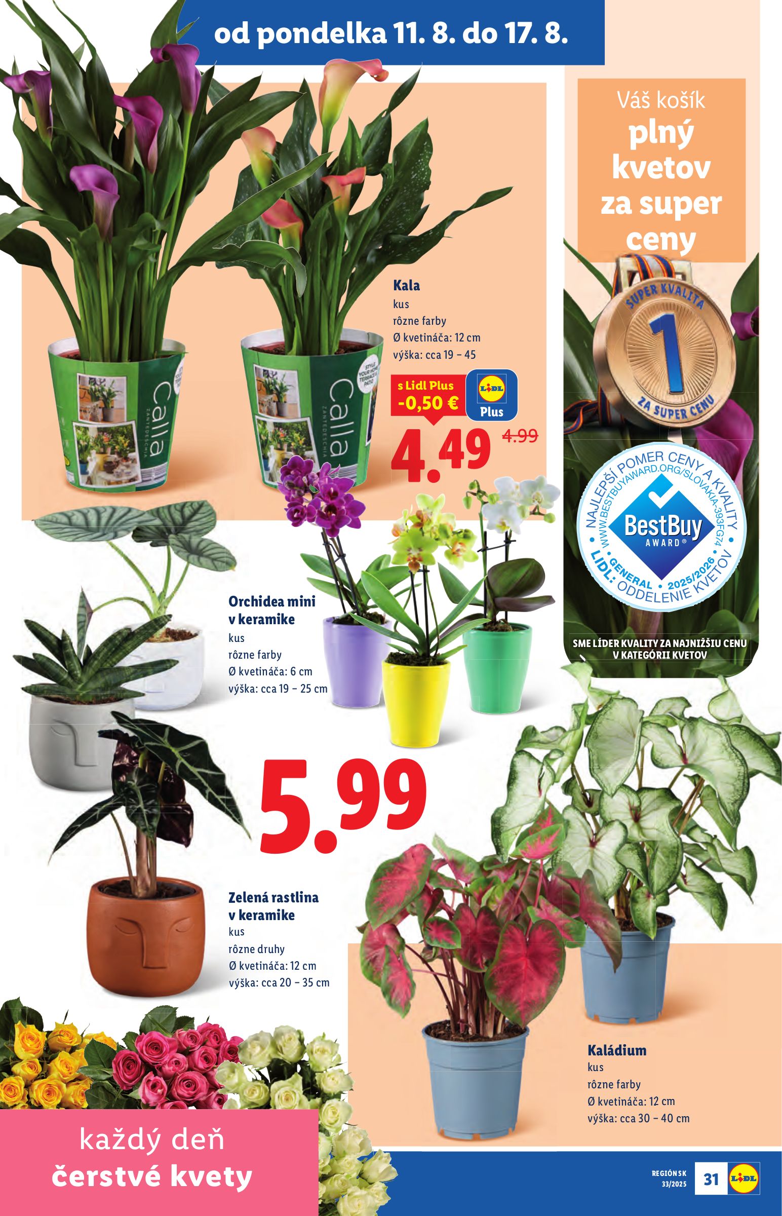 lidl - Leták Lidl platný od 11.08. do 17.08. - page: 33 lidl - Leták Lidl platný od 11.08. do 17.08. - page: 33