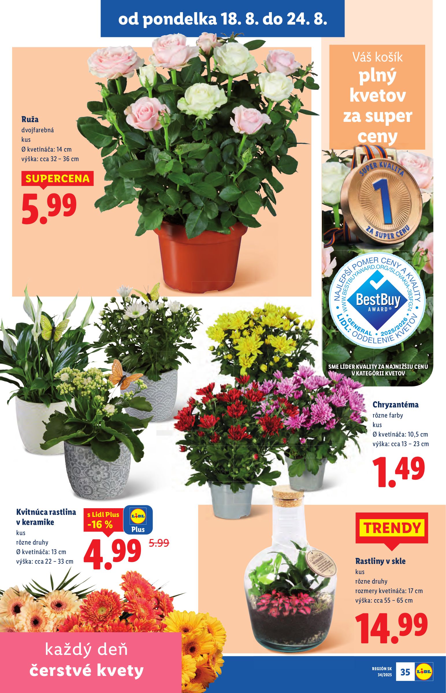 lidl - Leták Lidl platný od 18.08. do 24.08. - page: 41 lidl - Leták Lidl platný od 18.08. do 24.08. - page: 41