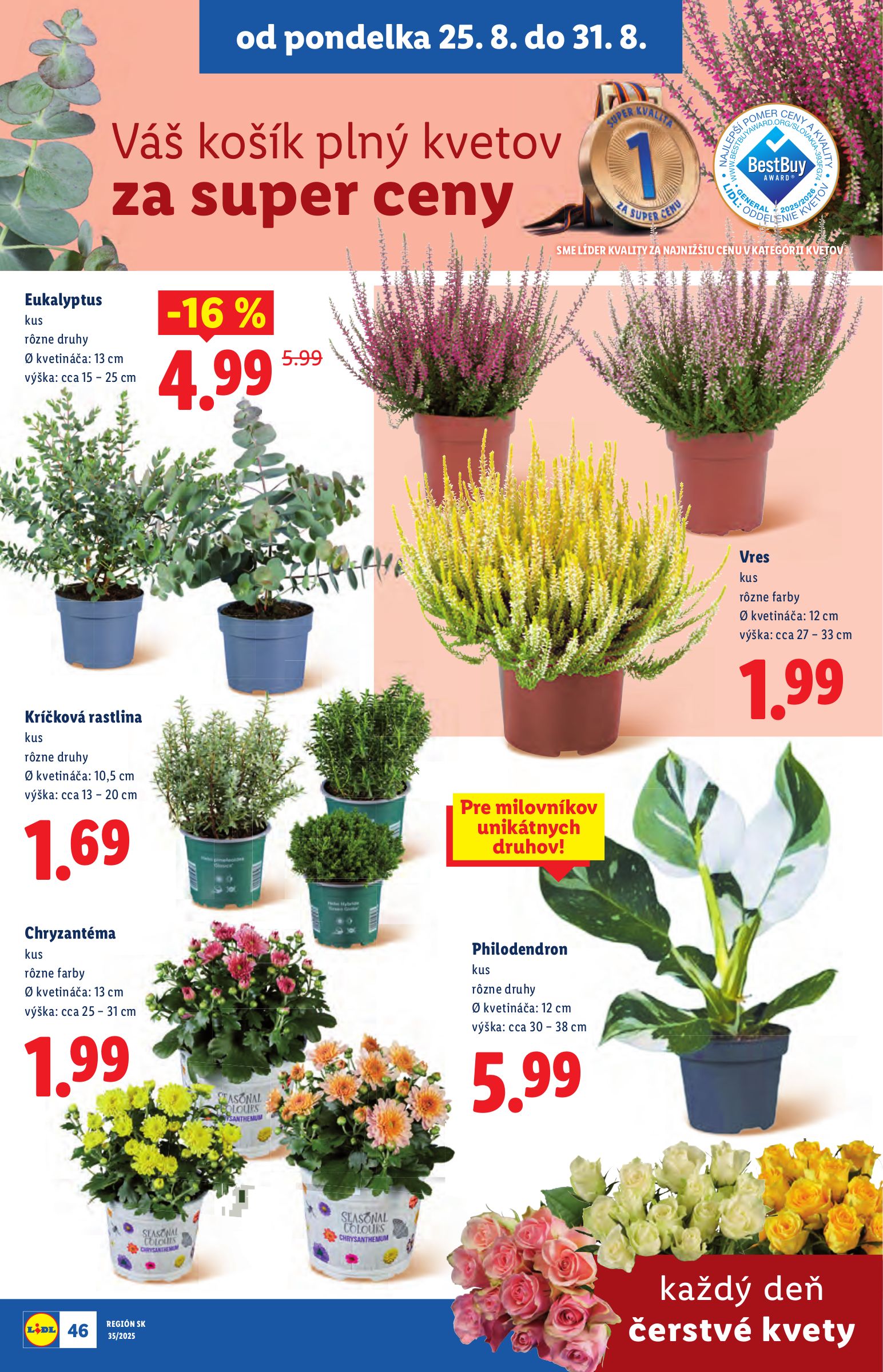 lidl - Leták Lidl platný od 25.08. do 31.08. - page: 60 lidl - Leták Lidl platný od 25.08. do 31.08. - page: 60