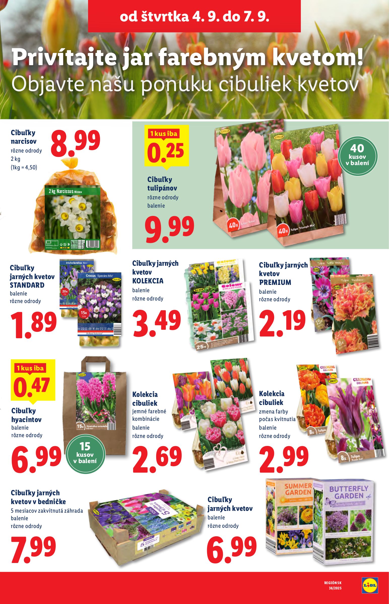 lidl - Leták Lidl platný od 01.09. do 07.09. - page: 99