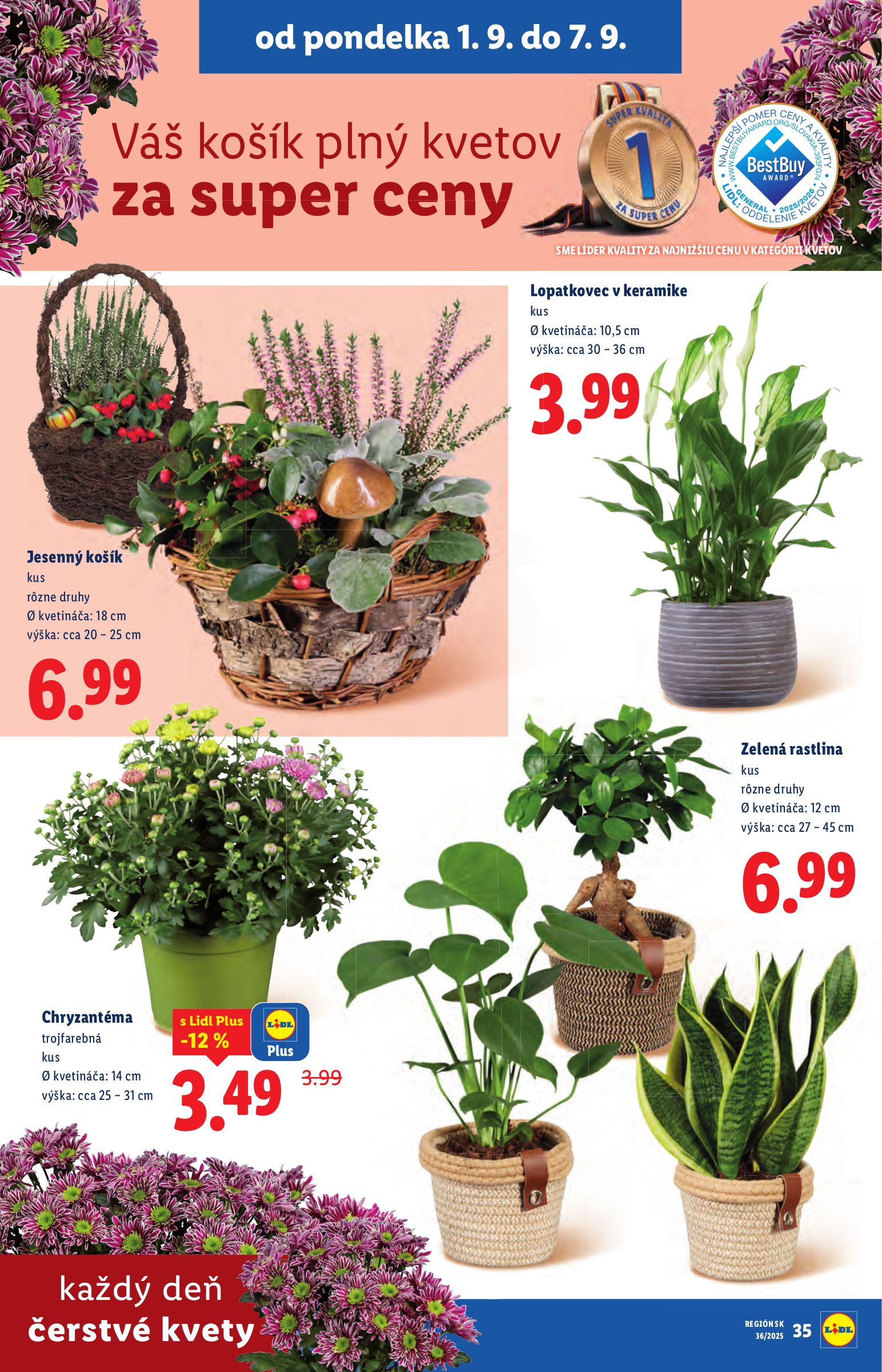lidl - Leták Lidl platný od 01.09. do 07.09. - page: 45