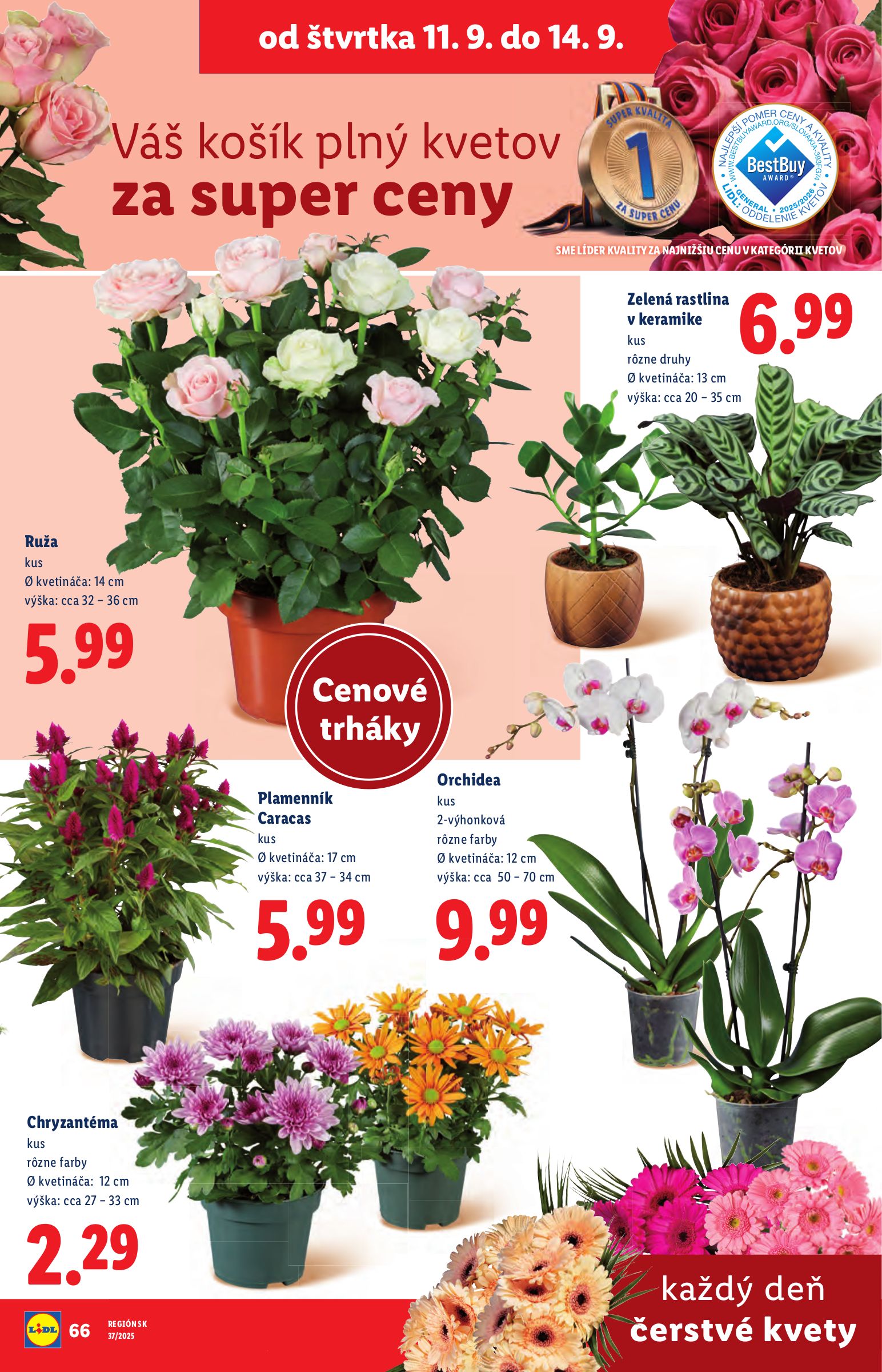 lidl - Leták Lidl platný od 08.09. do 14.09. - page: 80