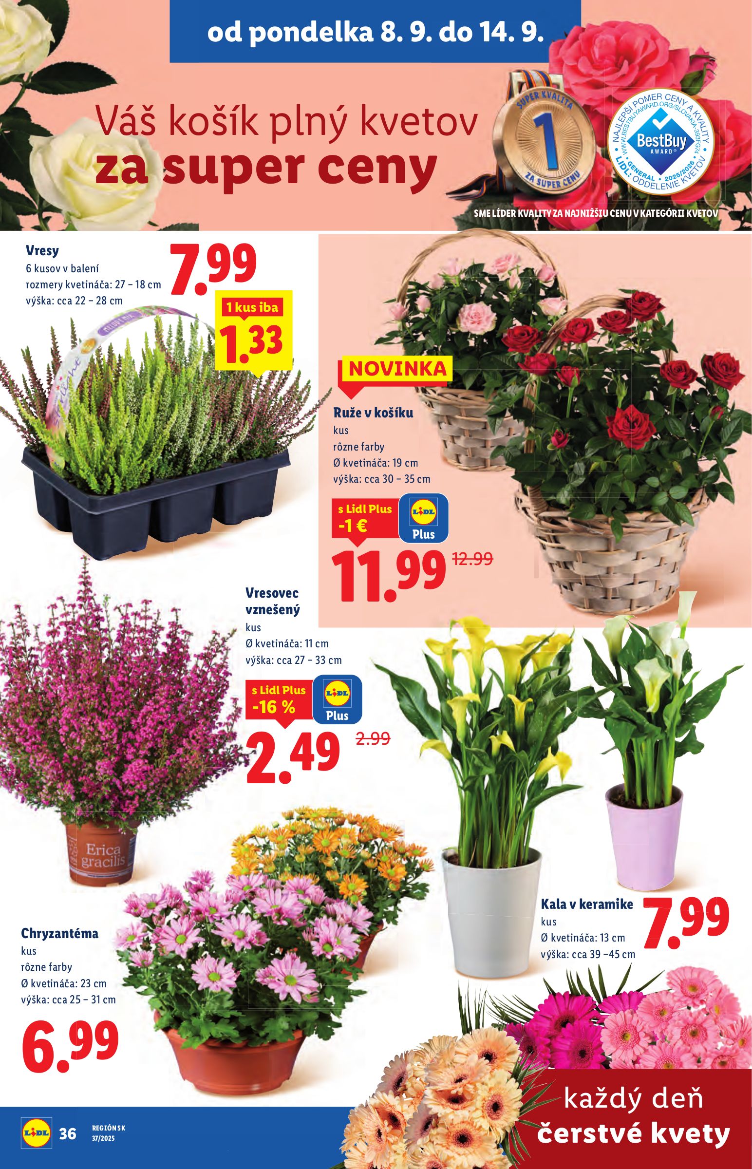 lidl - Leták Lidl platný od 08.09. do 14.09. - page: 44