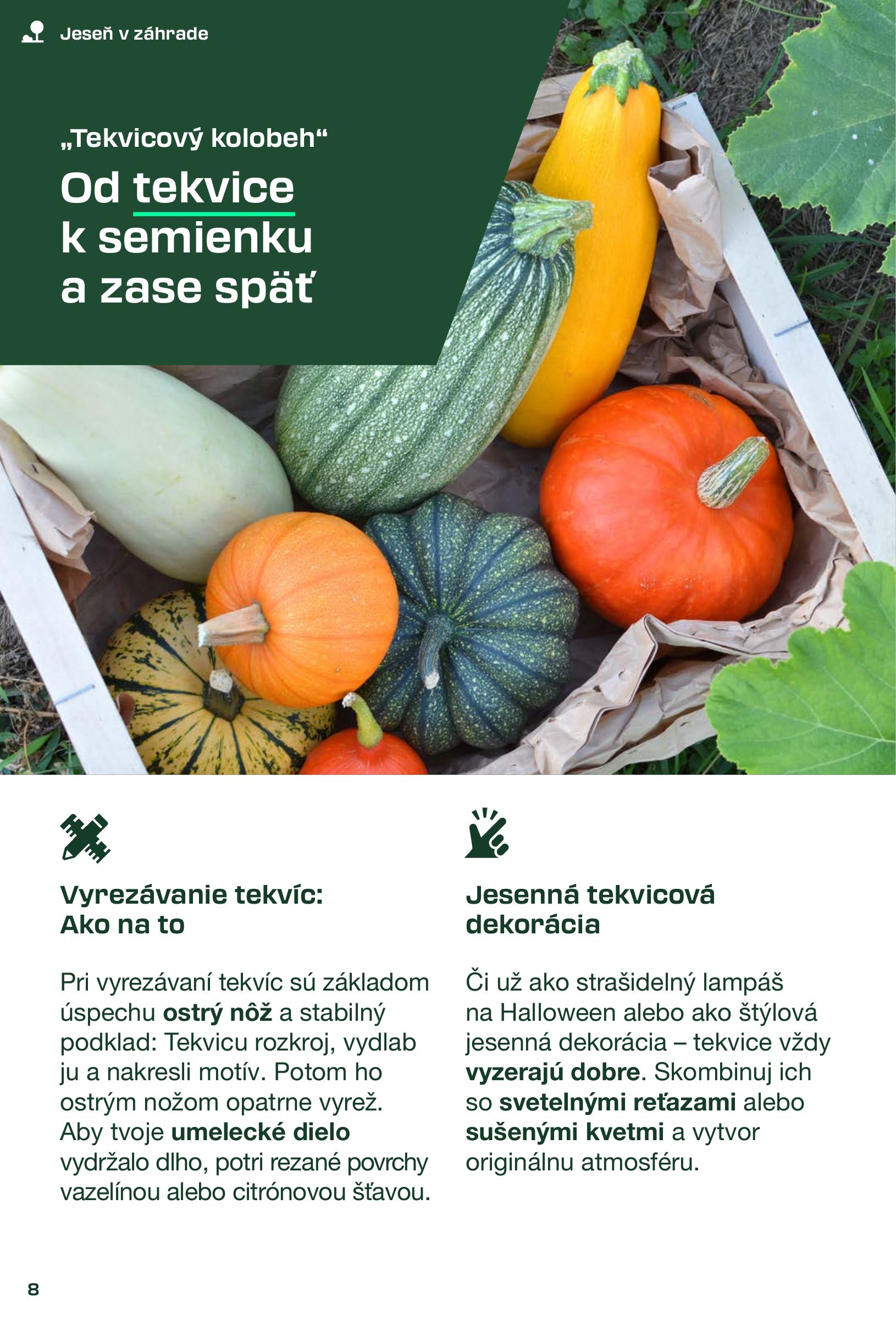 lidl - Leták Lidl - Parkside platný od 04.09. do 02.11. - page: 8