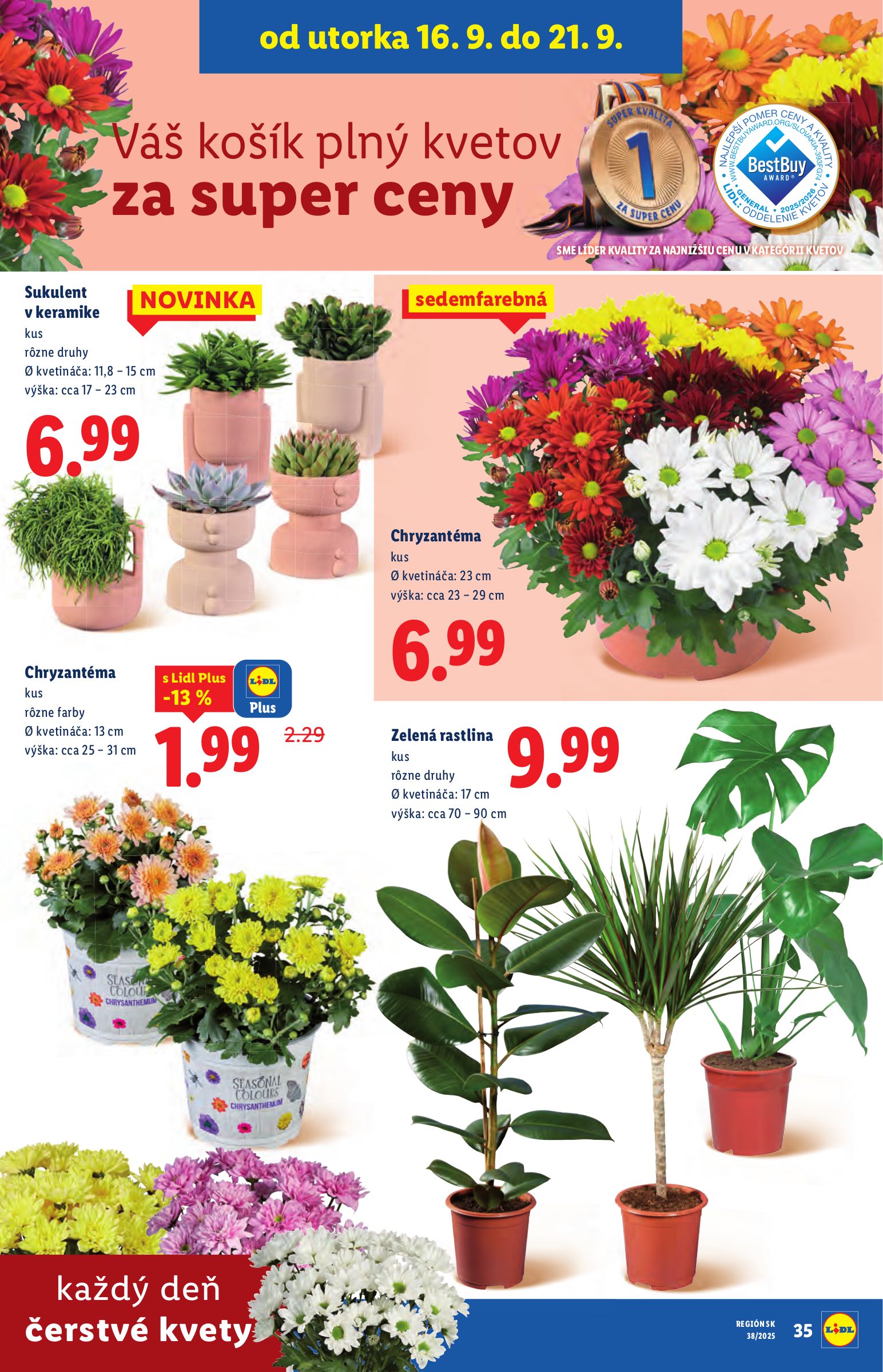 lidl - Leták Lidl platný od 16.09. do 21.09. - page: 50