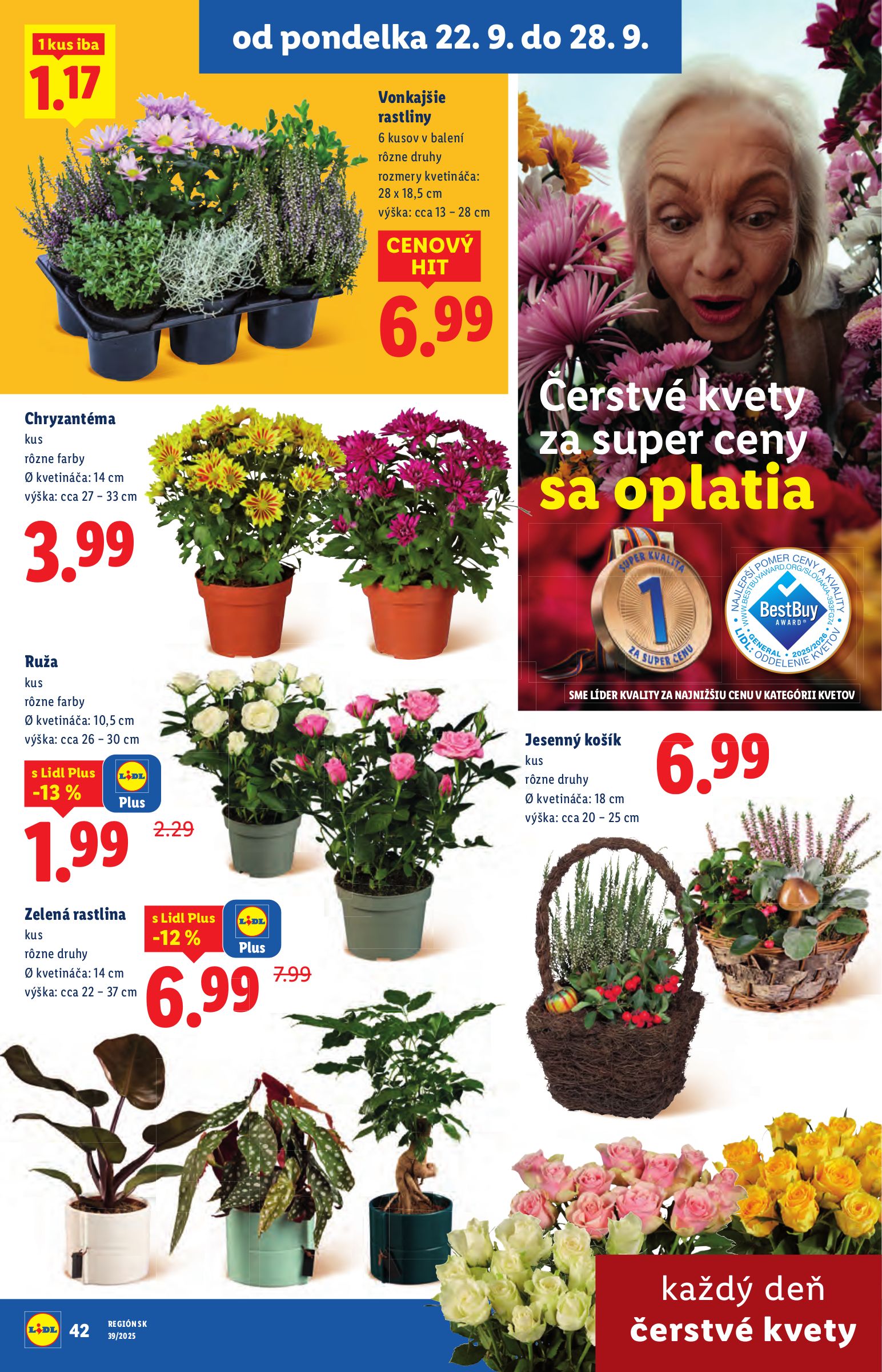 lidl - Leták Lidl platný od 22.09. do 28.09. - page: 48
