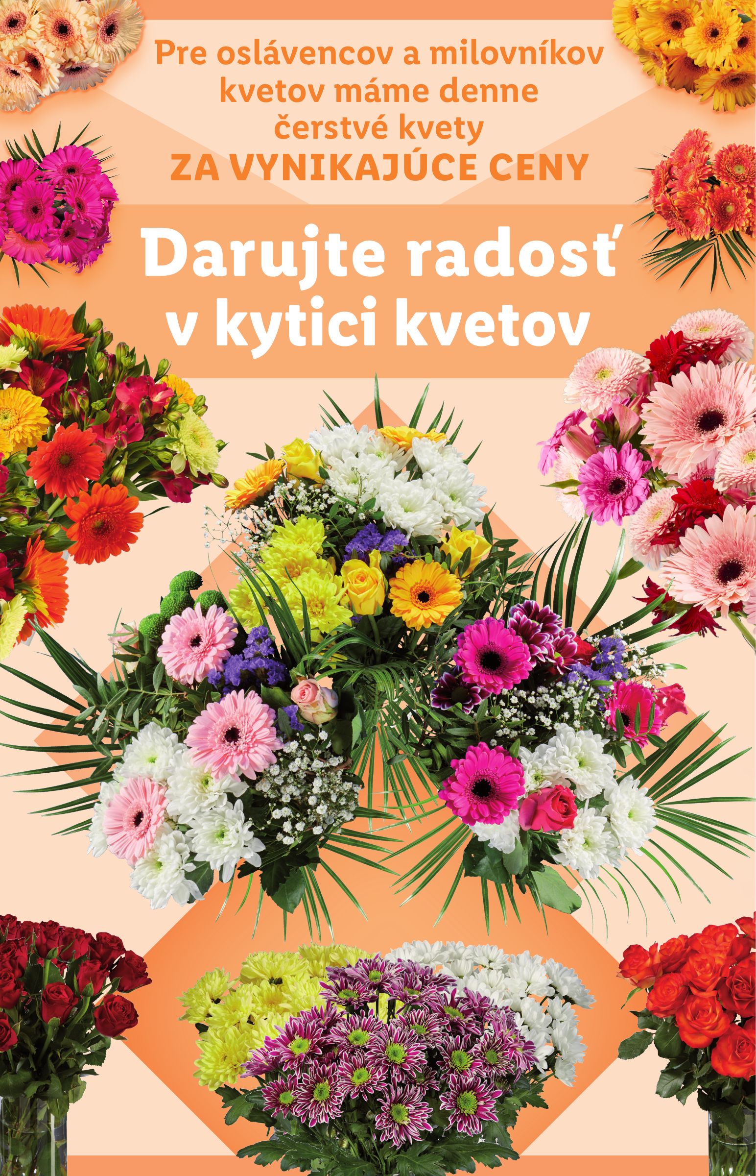 lidl - Leták Lidl platný od 02.10. do 05.10. - page: 77