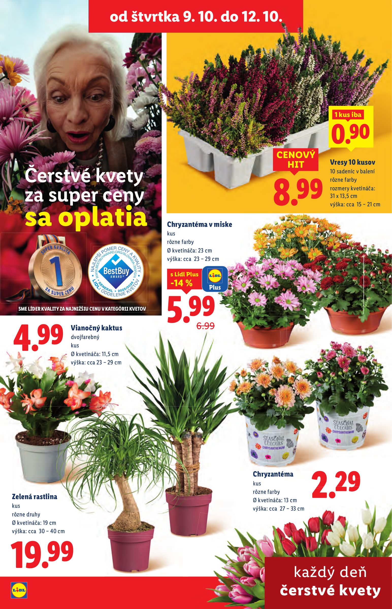 lidl - Leták Lidl platný od 06.10. do 12.10. - page: 85