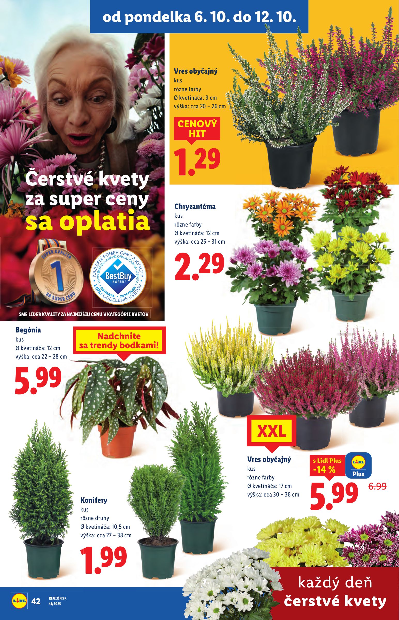 lidl - Leták Lidl platný od 06.10. do 12.10. - page: 55